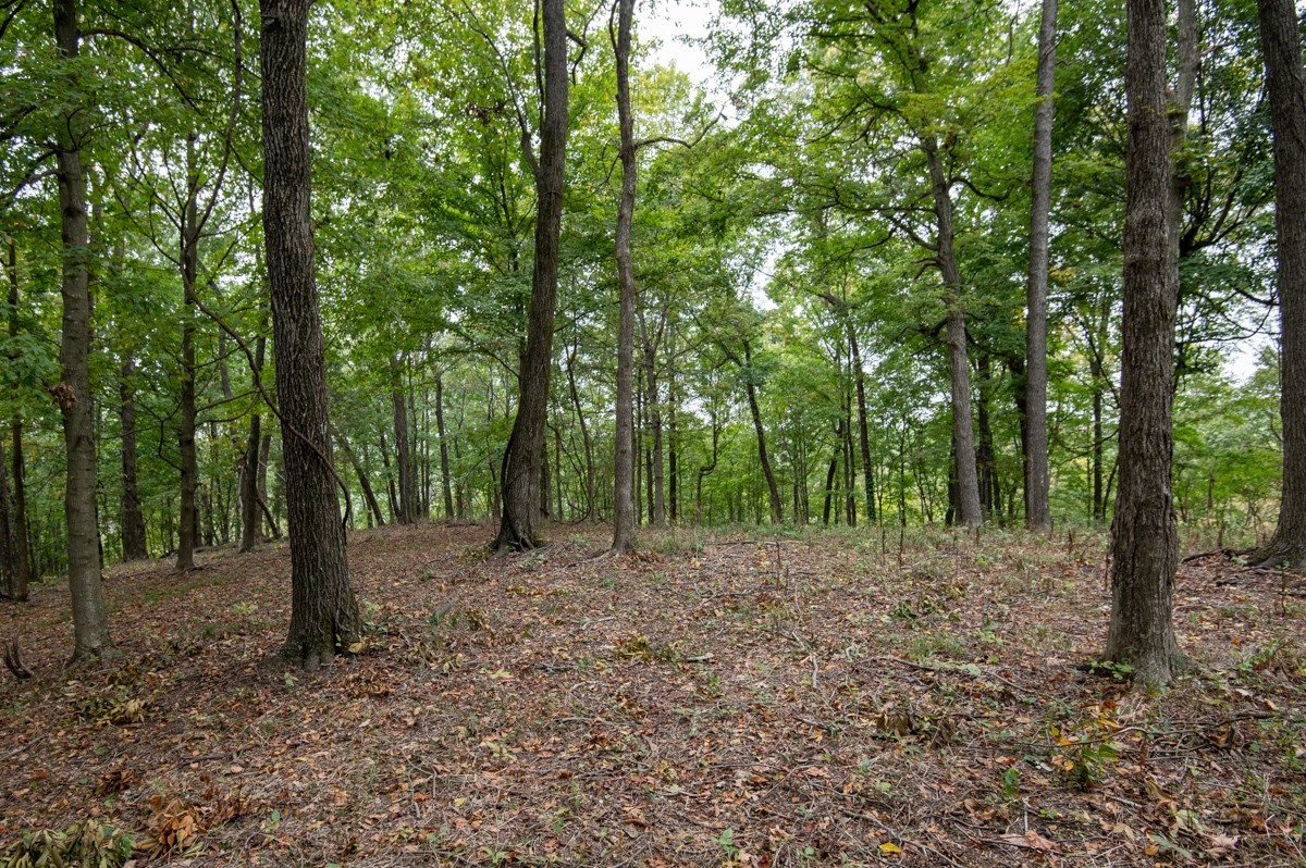 0 Bursby Branch Road Property Photo 21