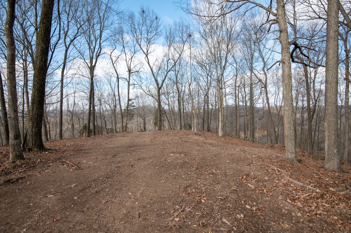 0 Bursby Branch Road Property Photo 23