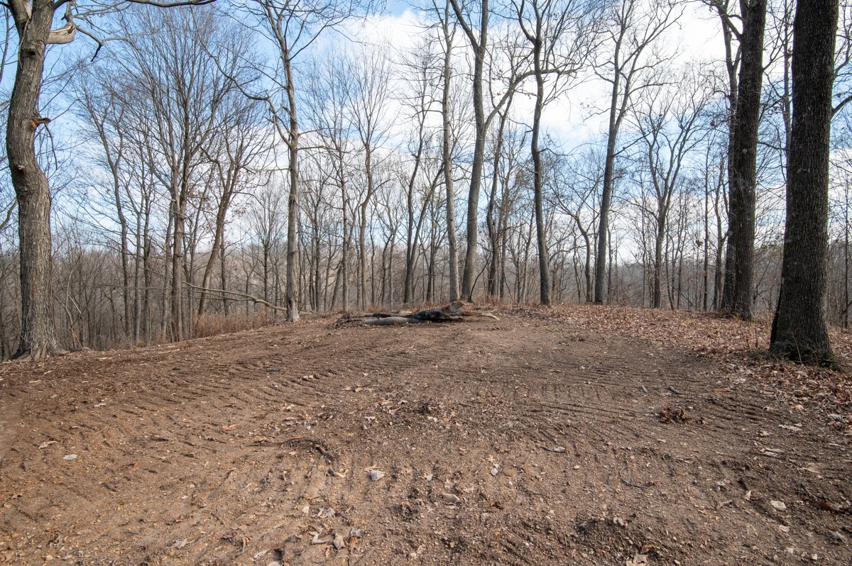 0 Bursby Branch Road Property Photo 24