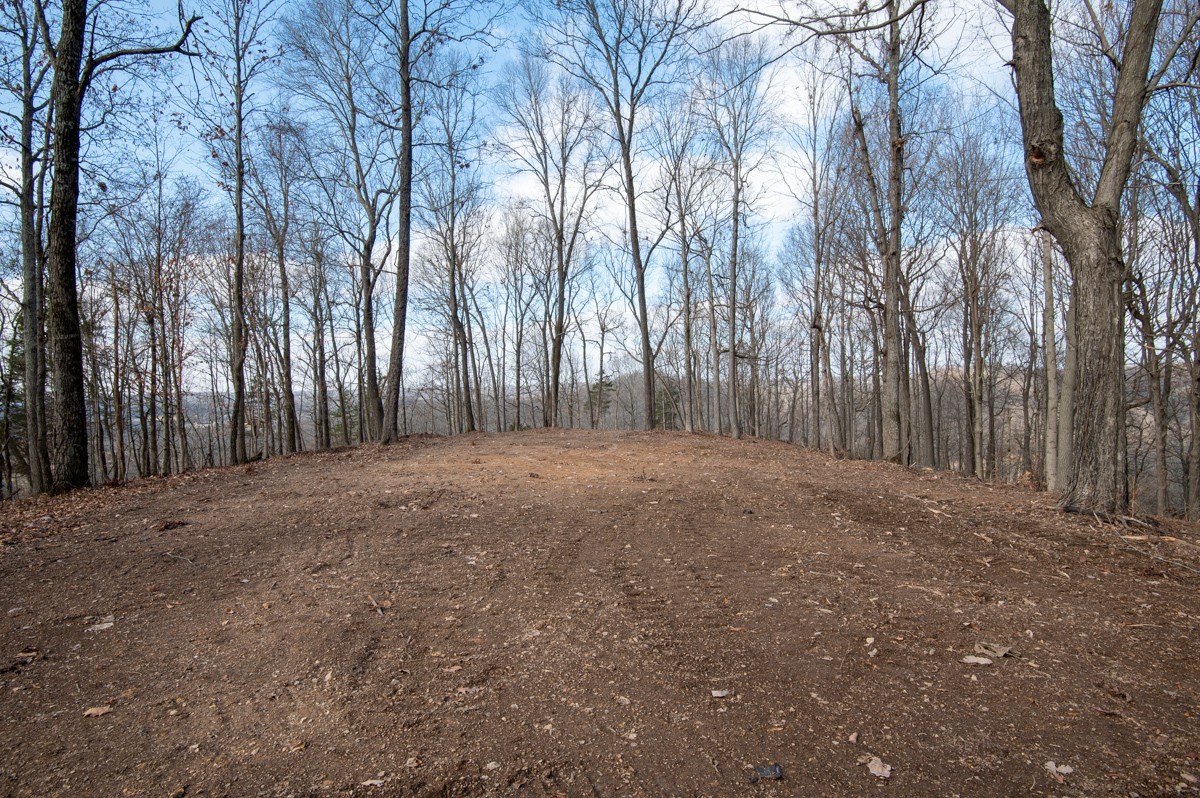 0 Bursby Branch Road Property Photo 25