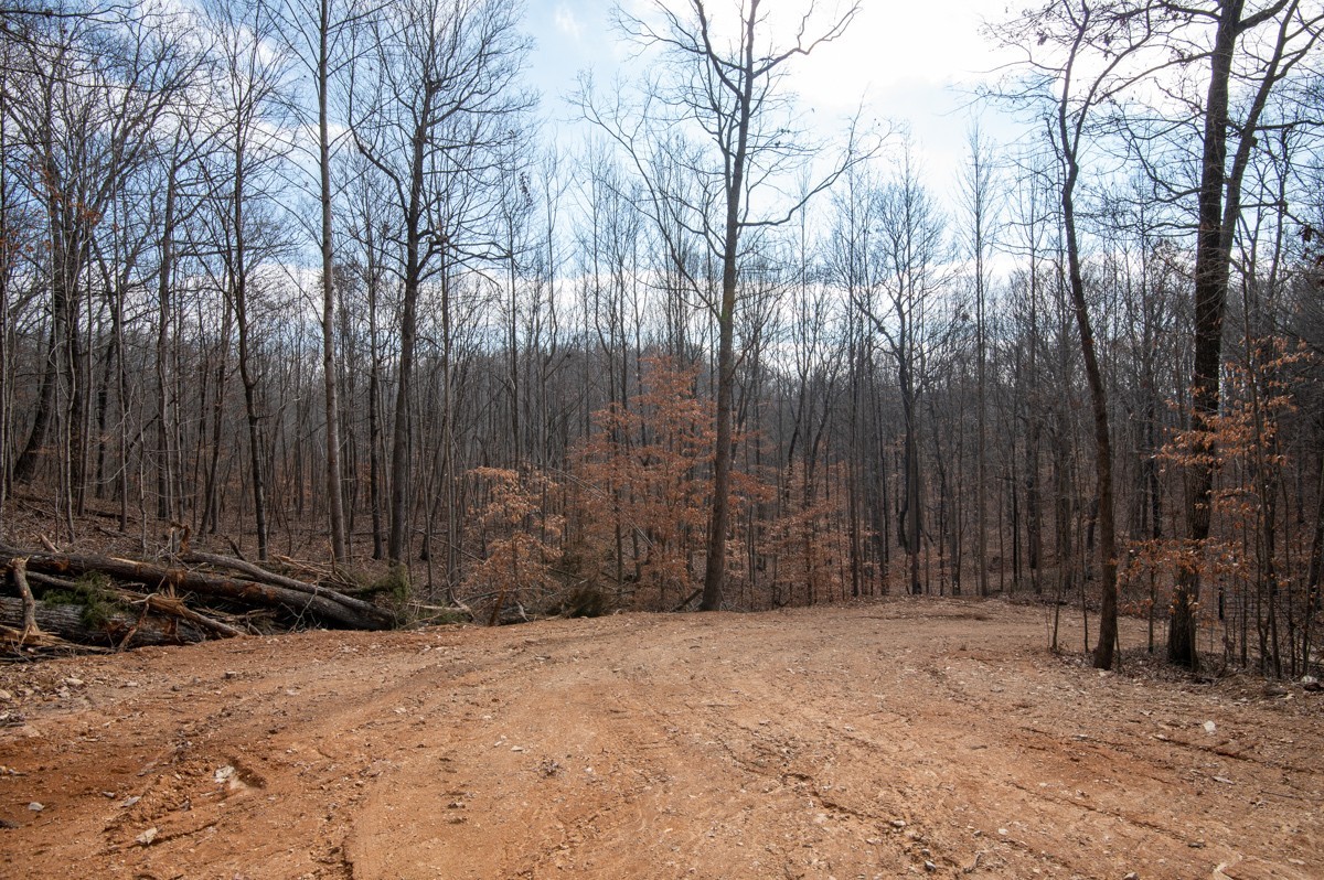 0 Bursby Branch Road Property Photo 27