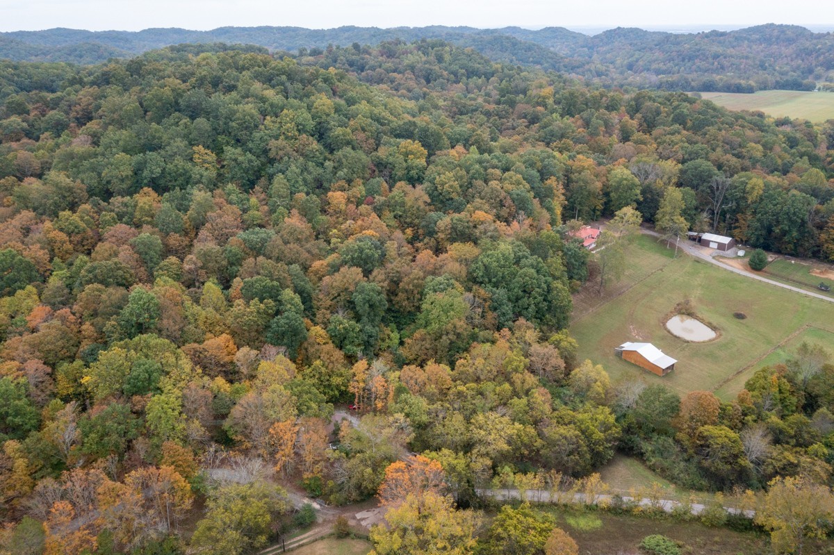0 Bursby Branch Road Property Photo 34