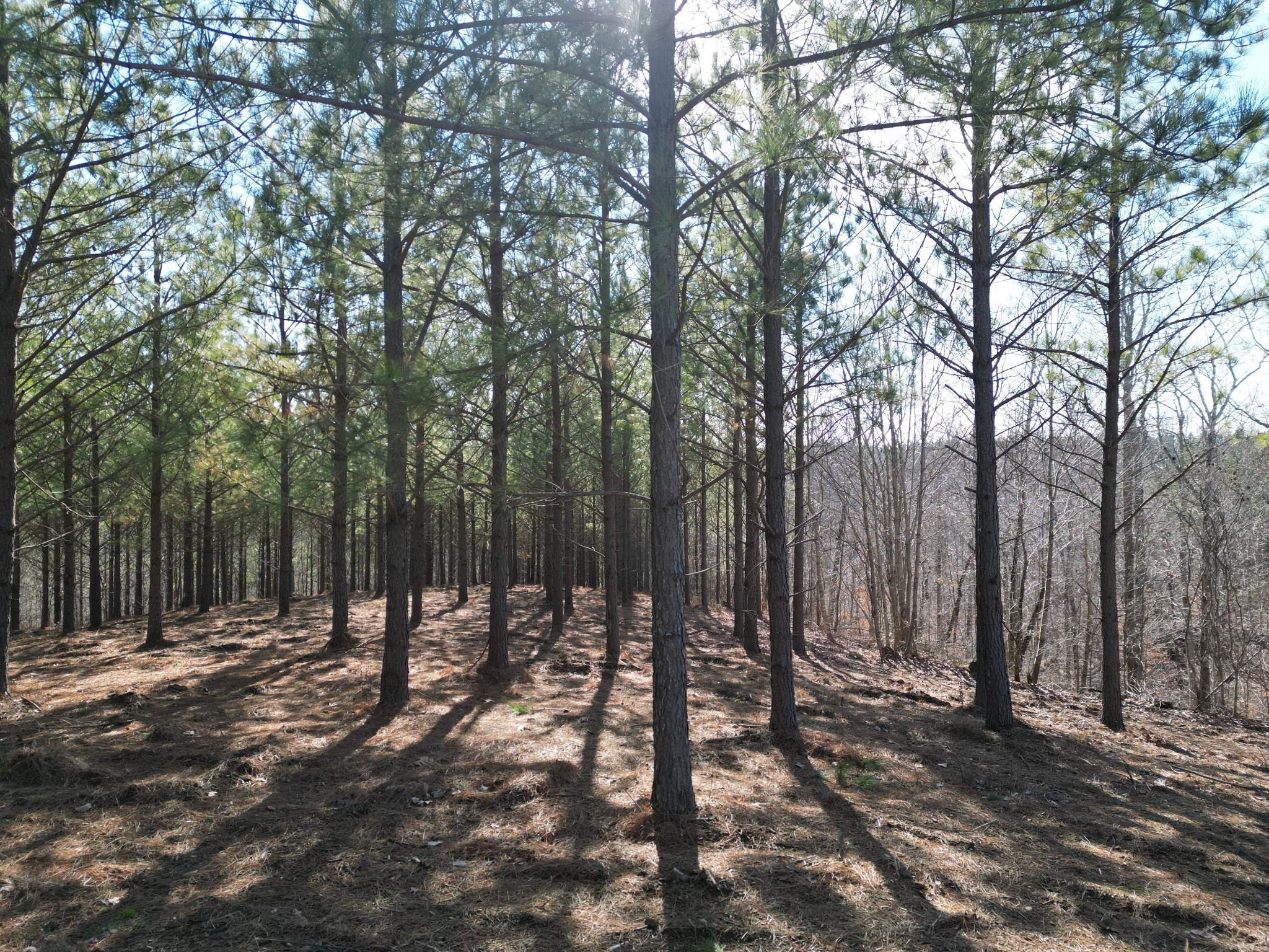 0 Hurricane Creek Rd Property Photo 1