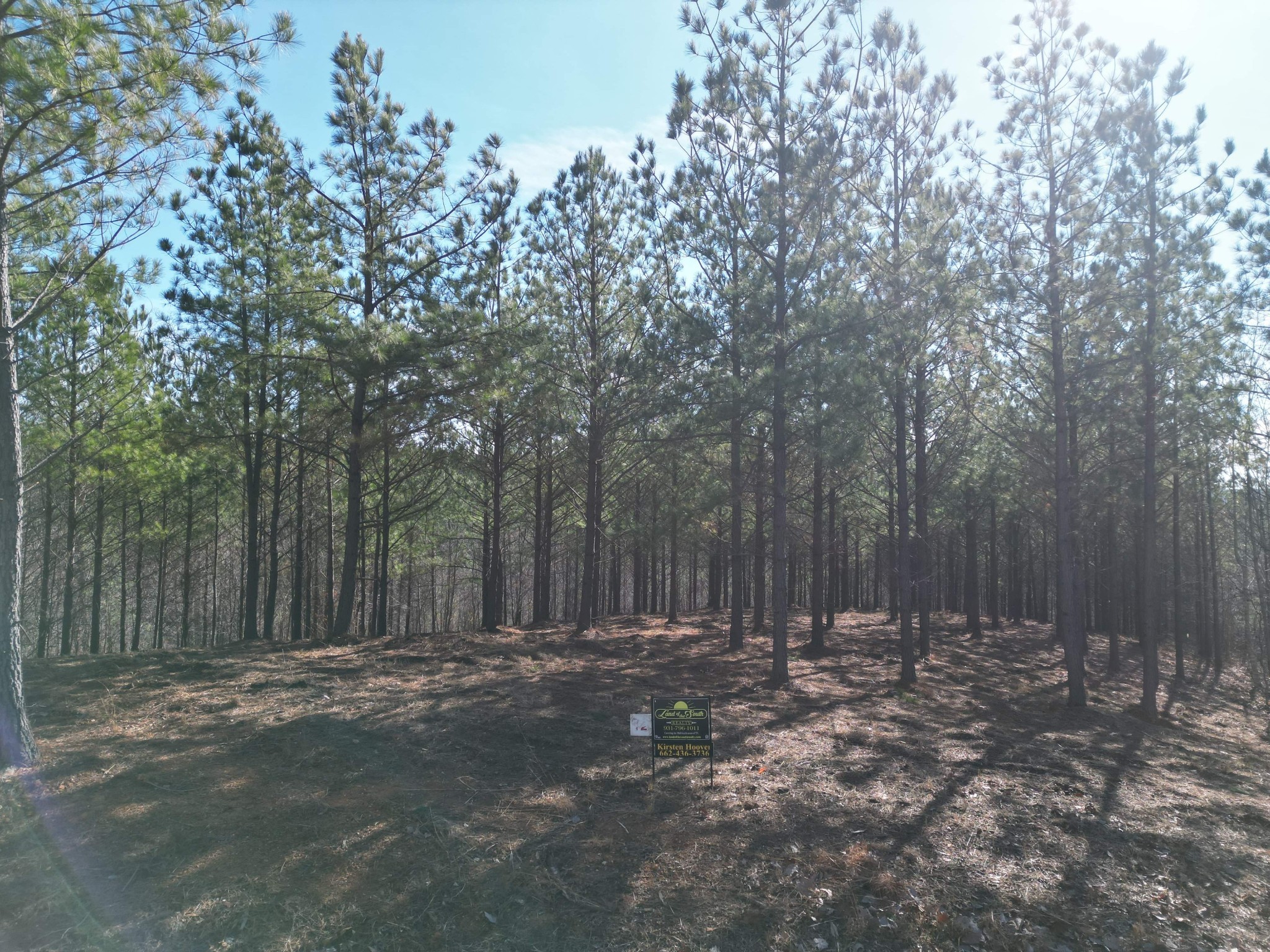 0 Hurricane Creek Rd Property Photo 3