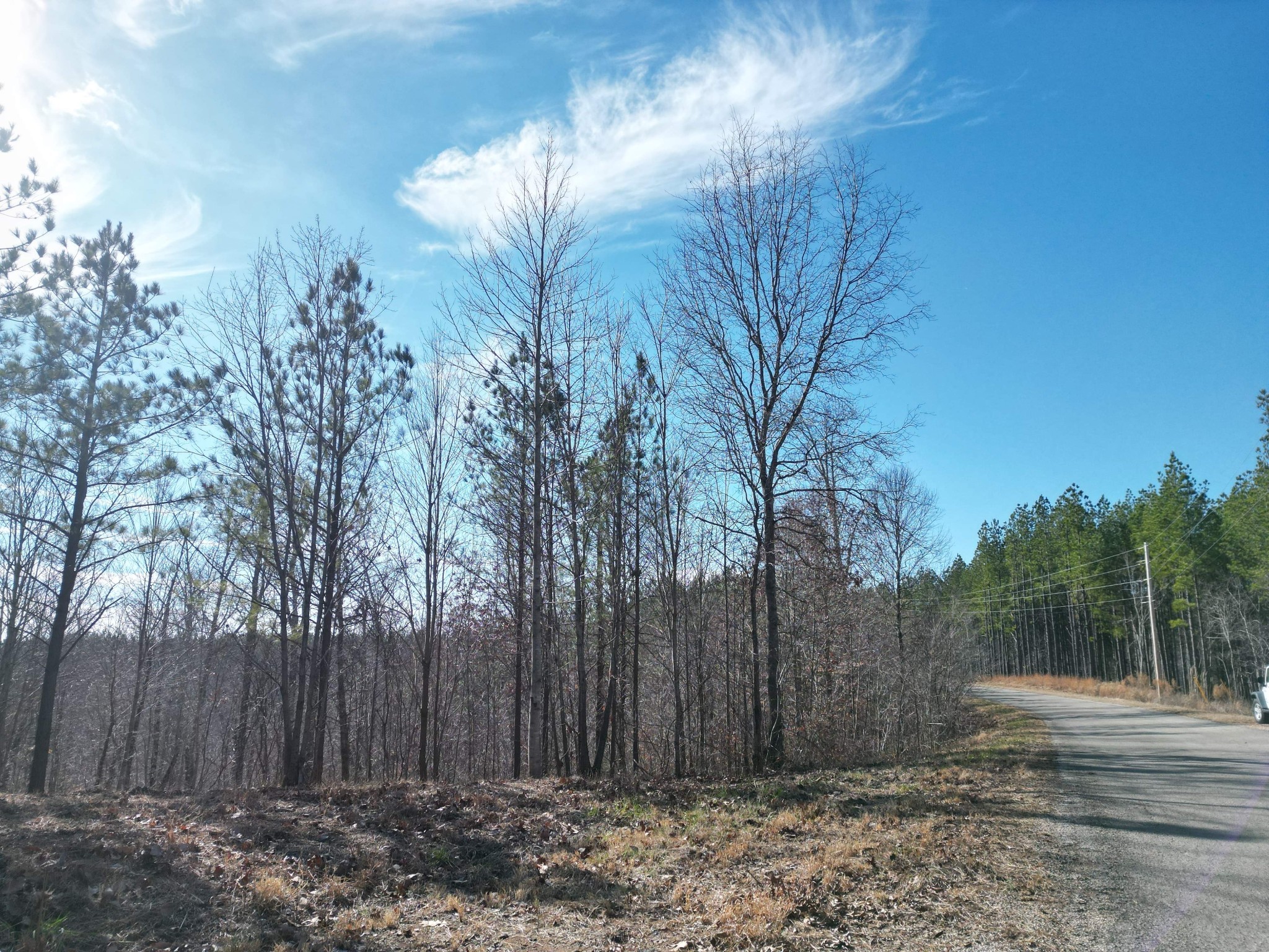 0 Hurricane Creek Rd Property Photo 6