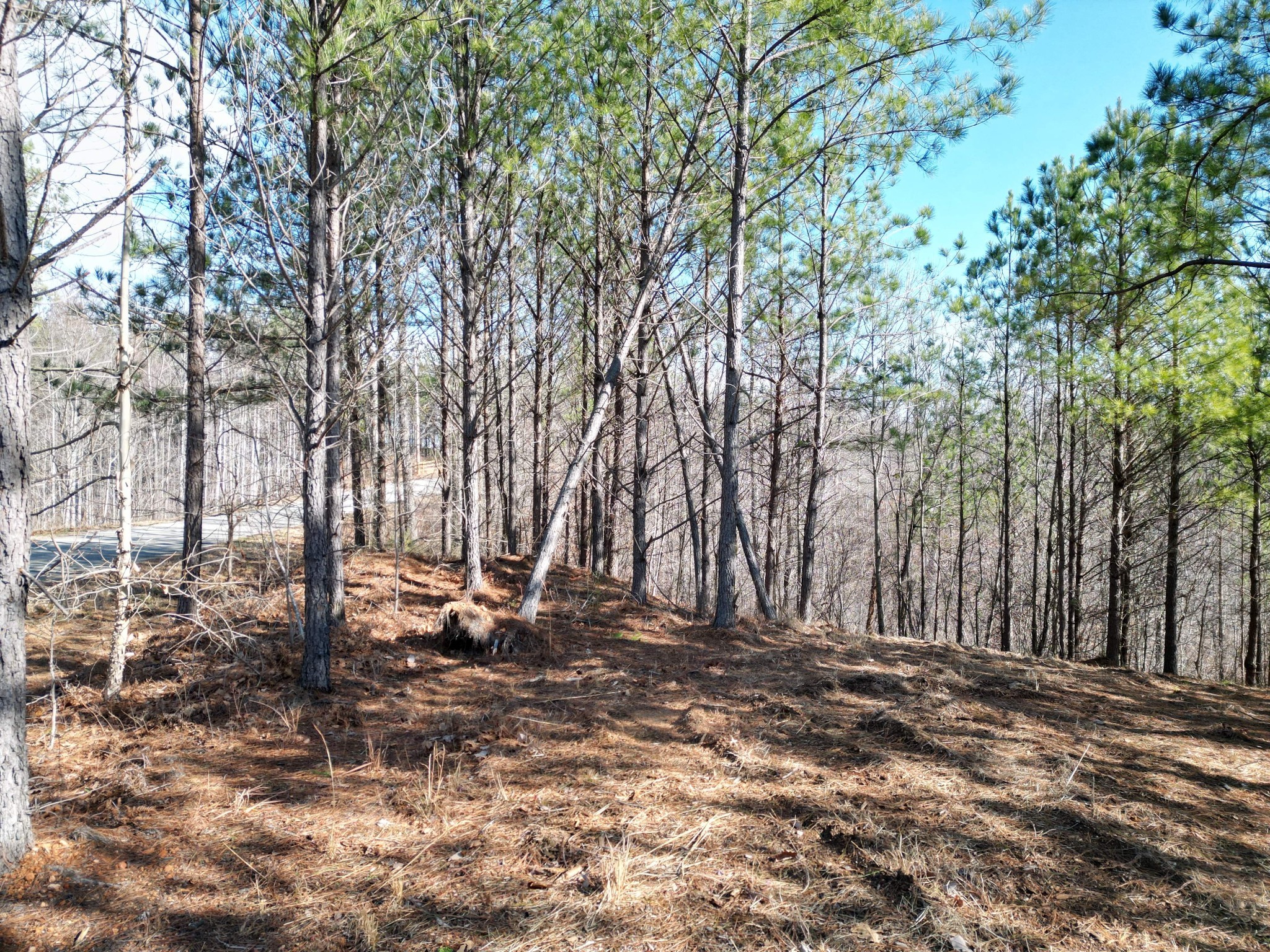 0 Hurricane Creek Rd Property Photo 8