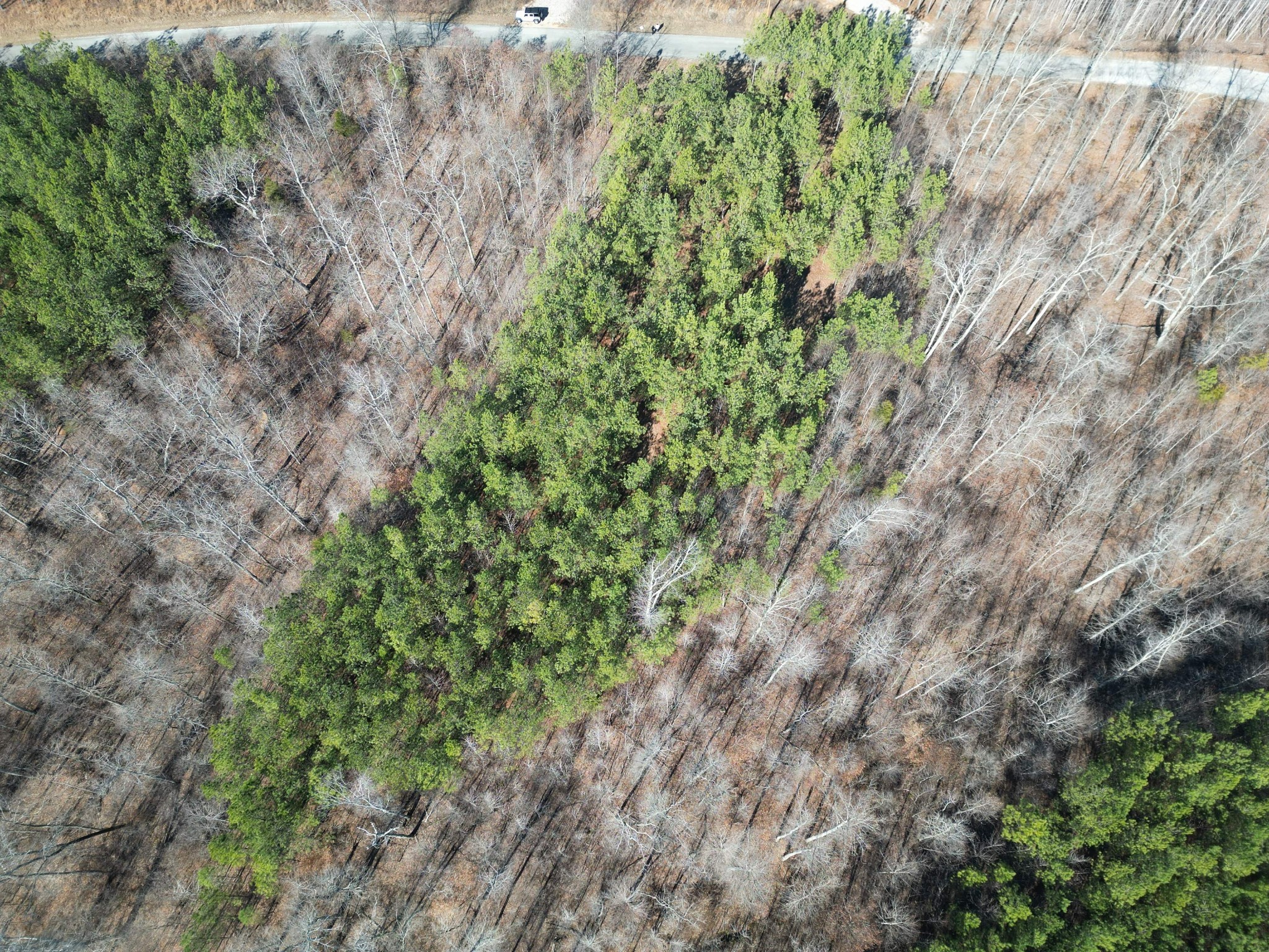 0 Hurricane Creek Rd Property Photo 10