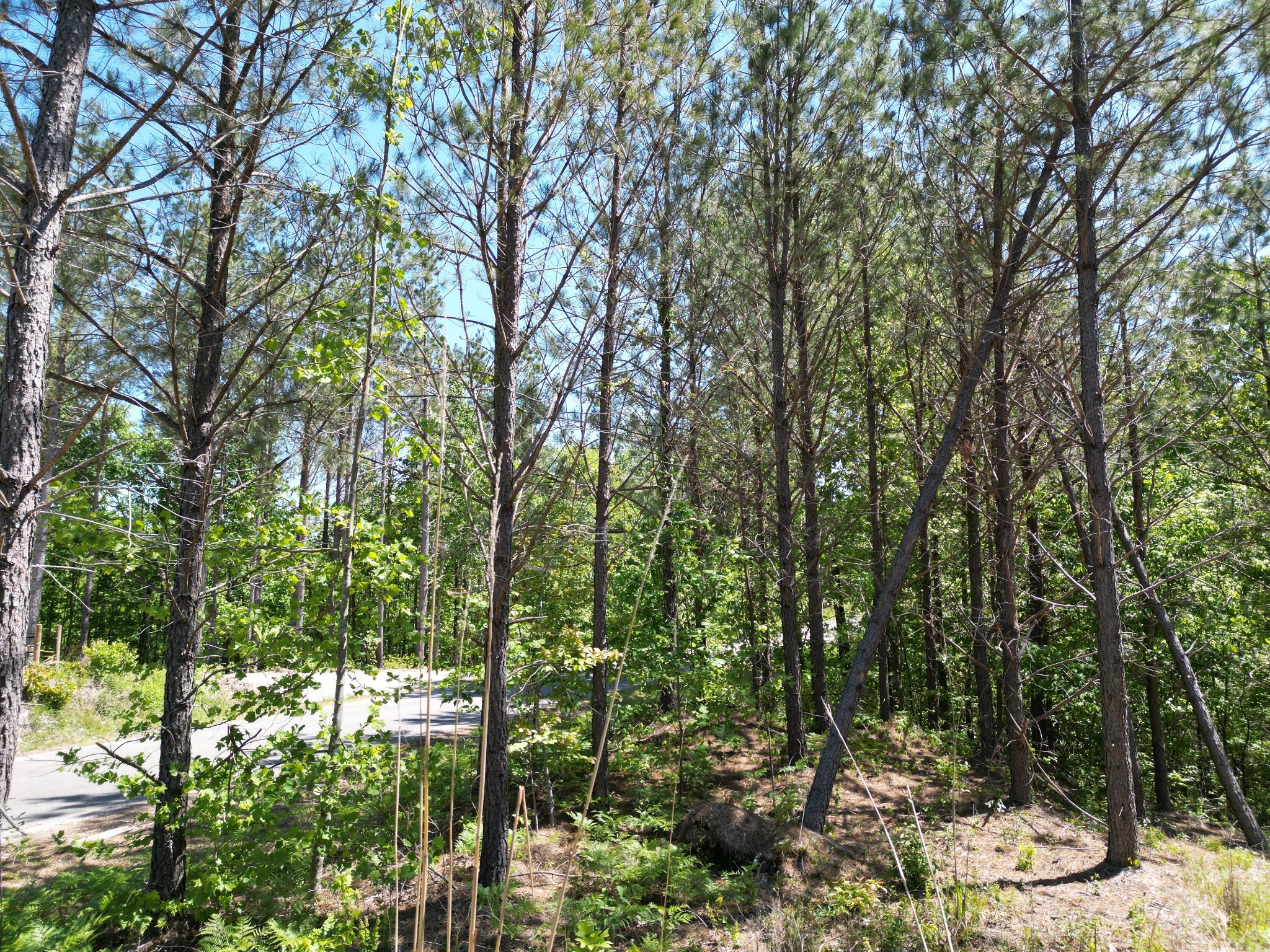 0 Hurricane Creek Rd Property Photo 17
