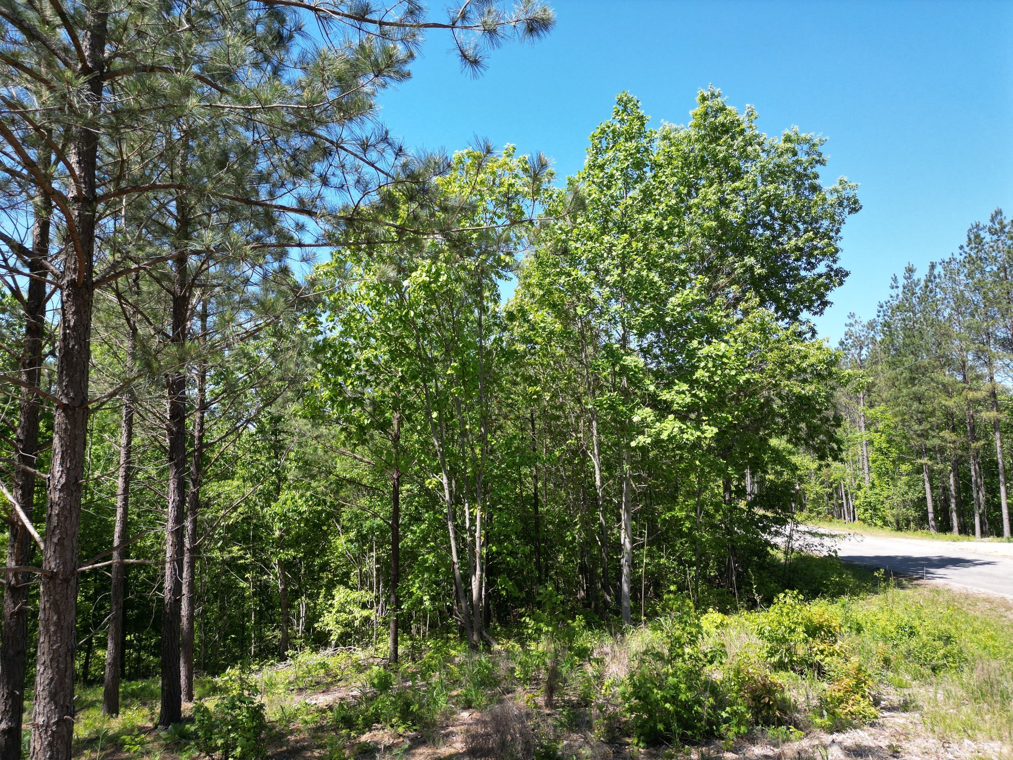 0 Hurricane Creek Rd Property Photo 19