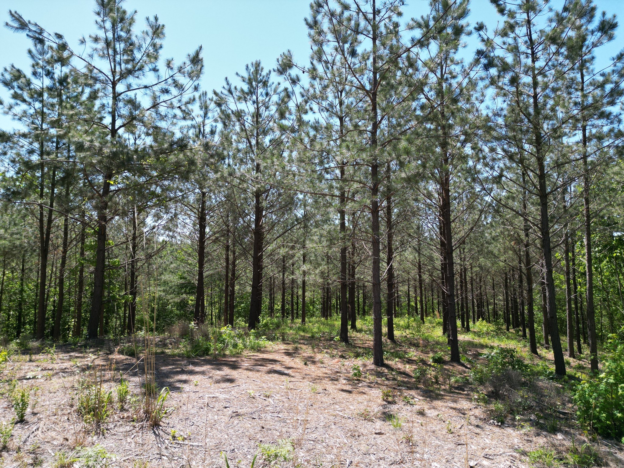 0 Hurricane Creek Rd Property Photo 23