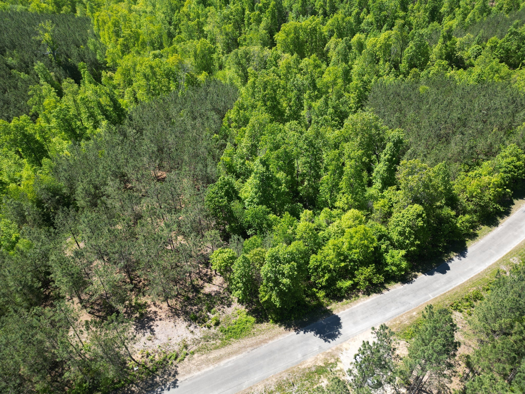 0 Hurricane Creek Rd Property Photo 24
