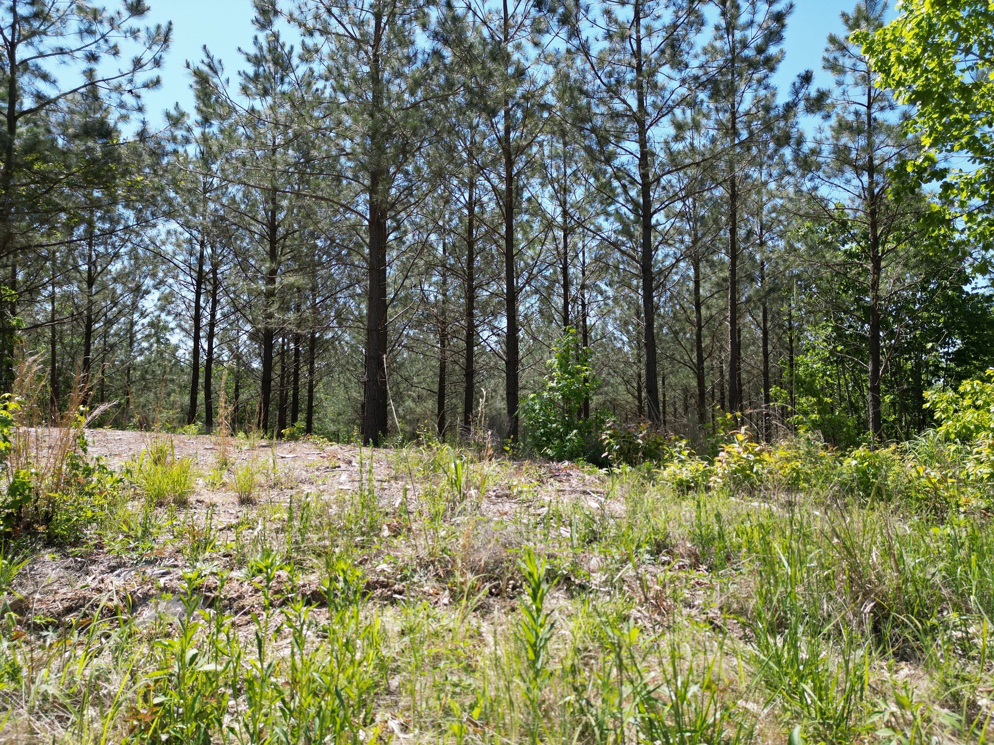 0 Hurricane Creek Rd Property Photo 25
