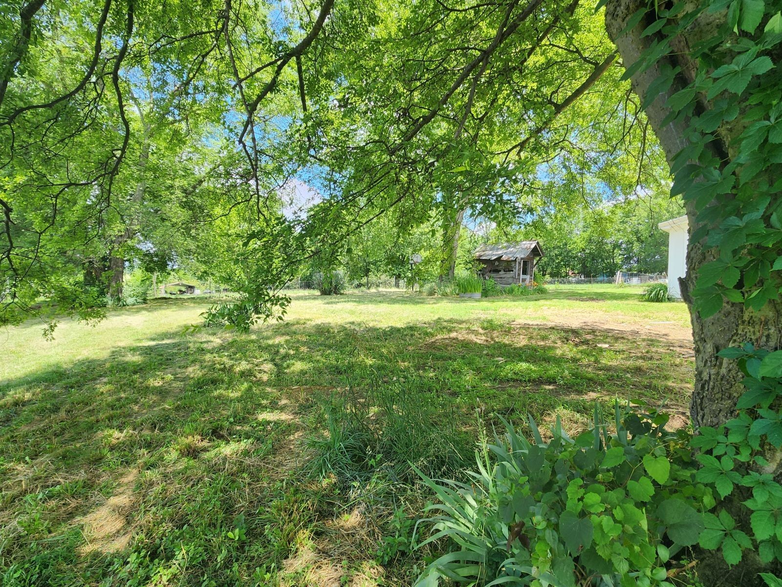 2154 Highway 64, W Property Photo 10