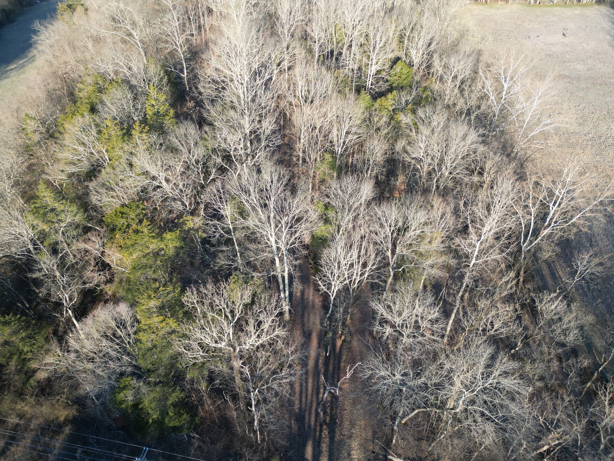 0 Lobelville Highway Property Photo 1