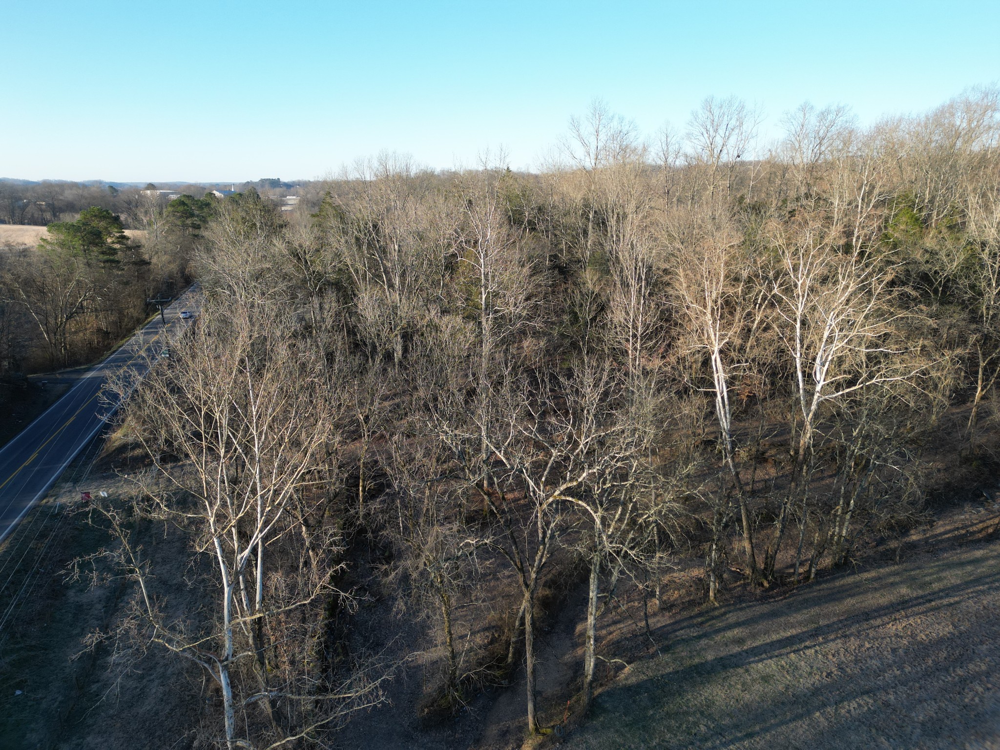 0 Lobelville Highway Property Photo 2