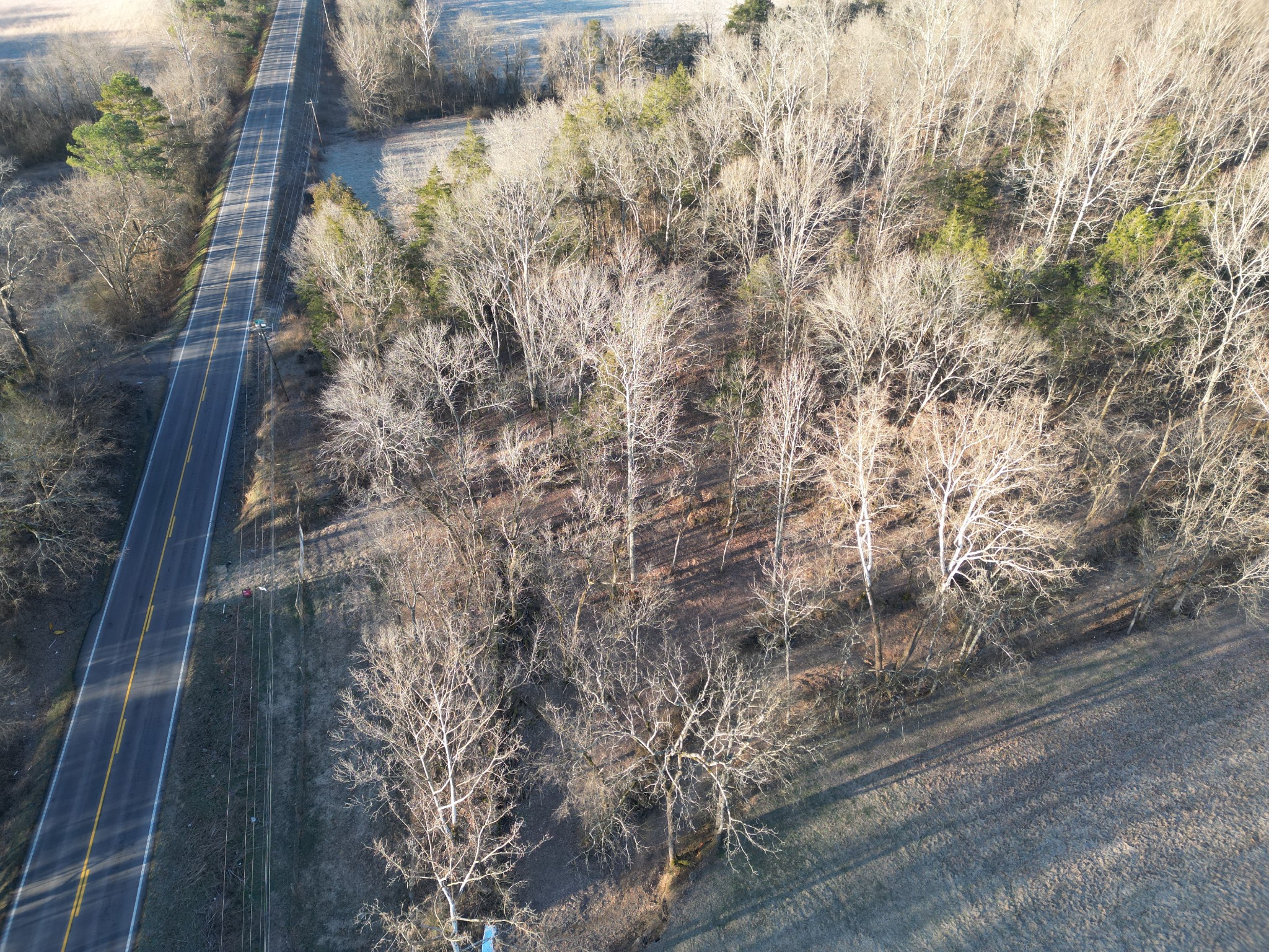 0 Lobelville Highway Property Photo 3