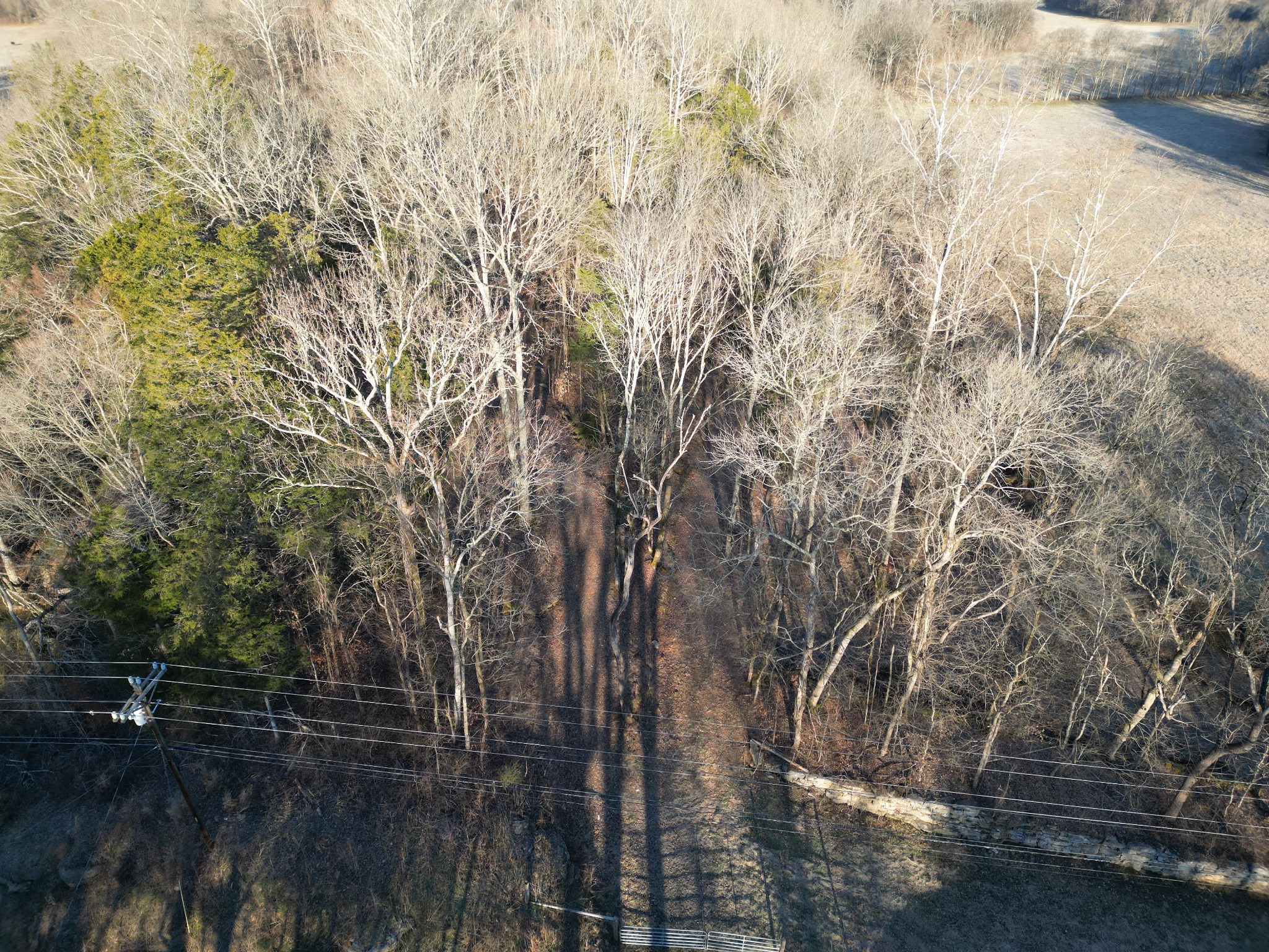 0 Lobelville Highway Property Photo 4
