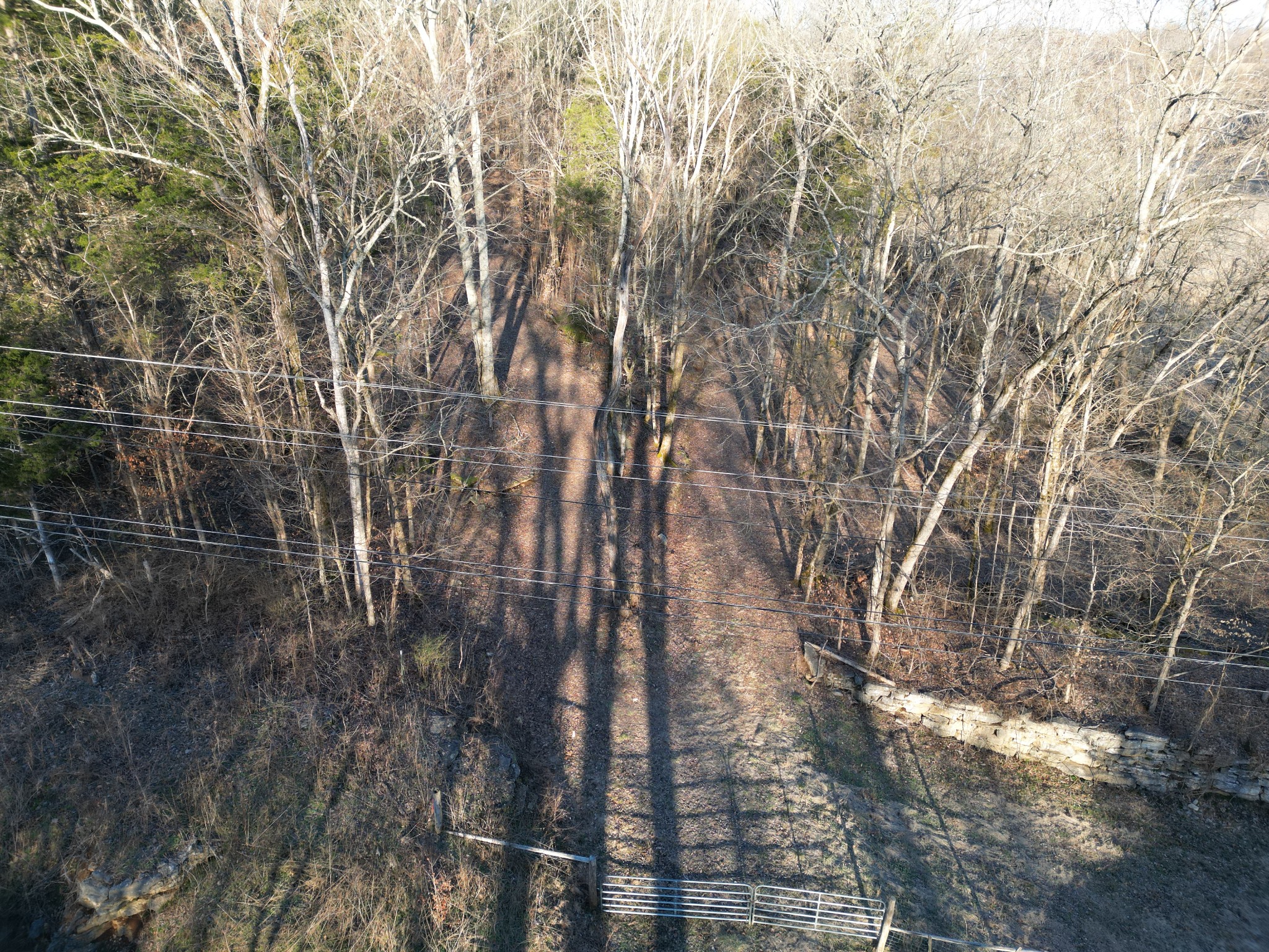 0 Lobelville Highway Property Photo 5