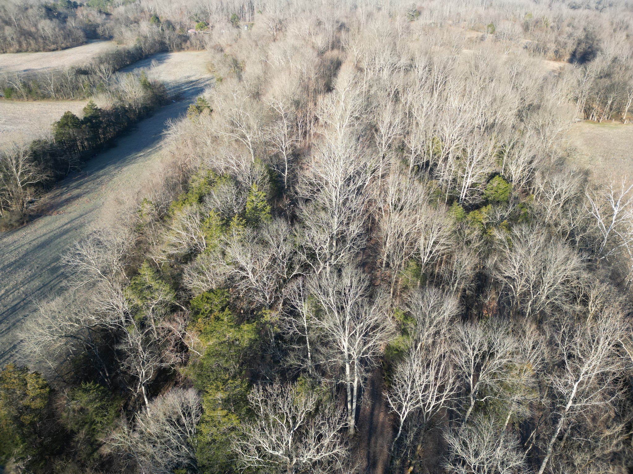 0 Lobelville Highway Property Photo 6