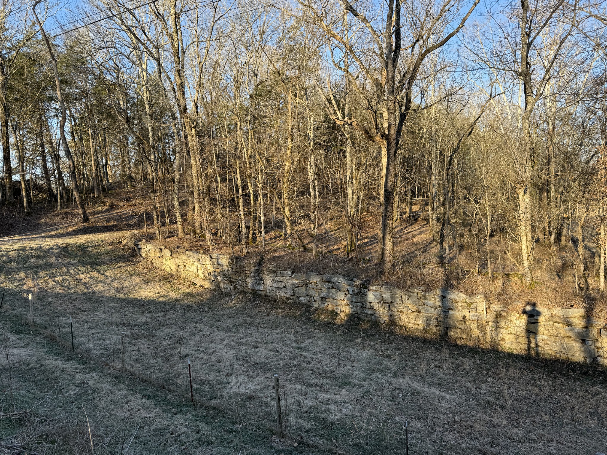 0 Lobelville Highway Property Photo 8