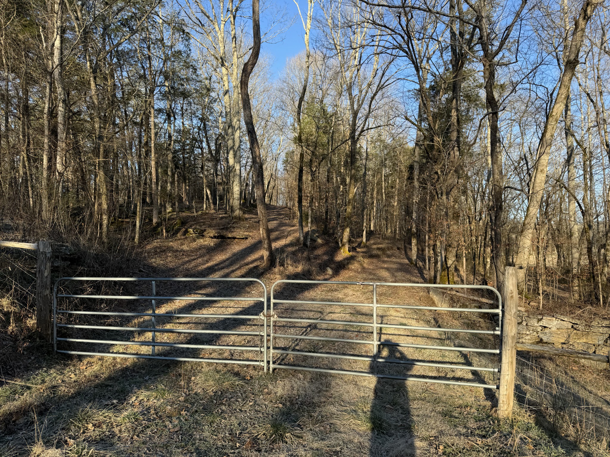0 Lobelville Highway Property Photo 10