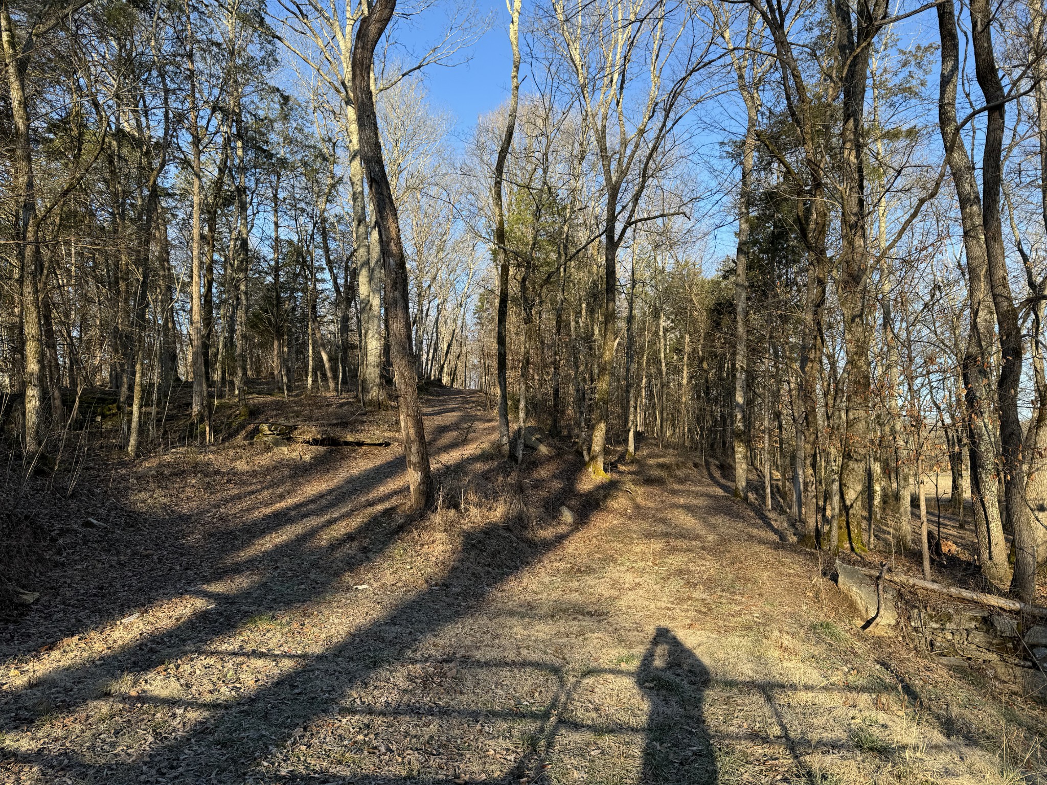 0 Lobelville Highway Property Photo 11