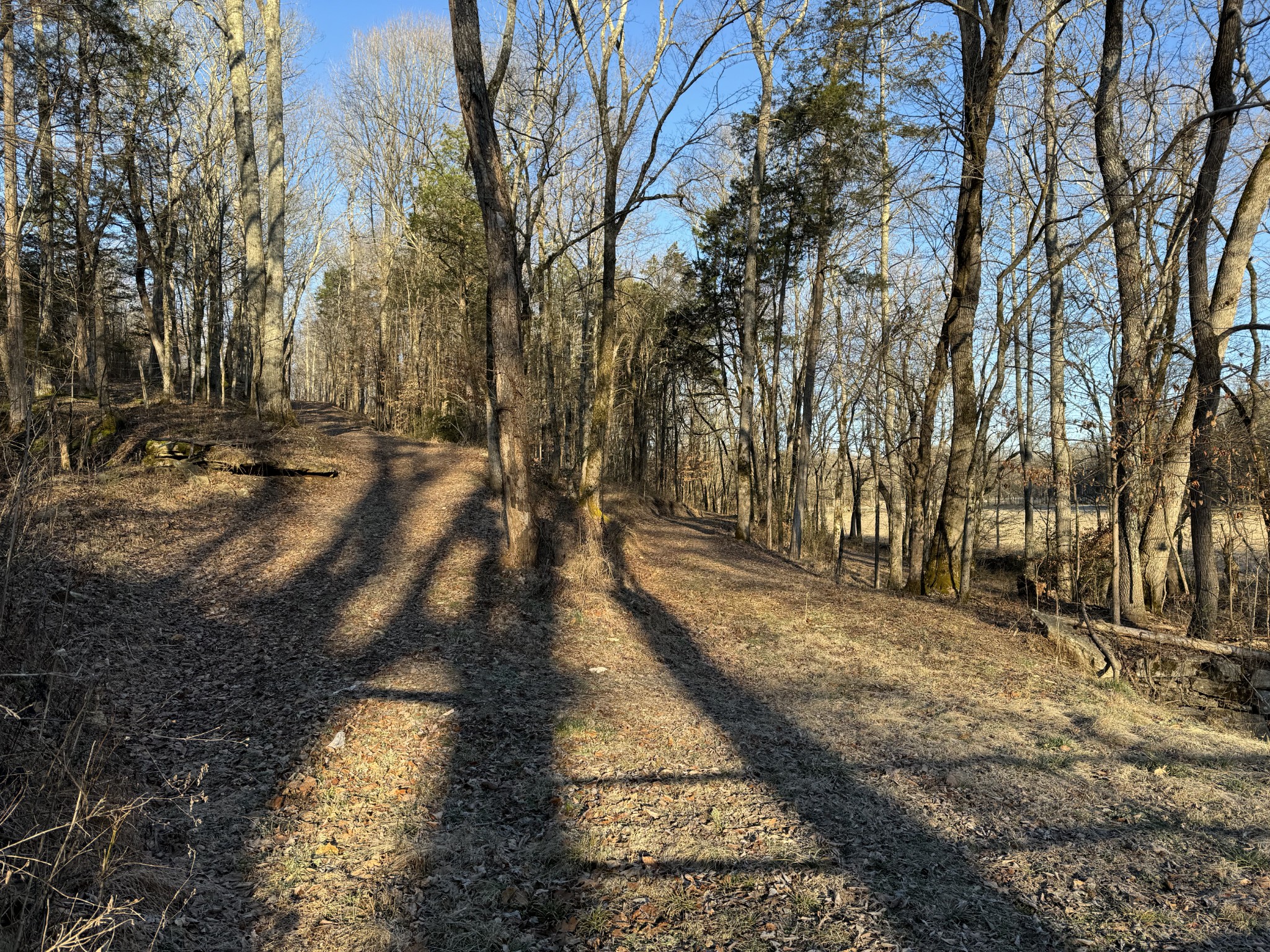 0 Lobelville Highway Property Photo 12