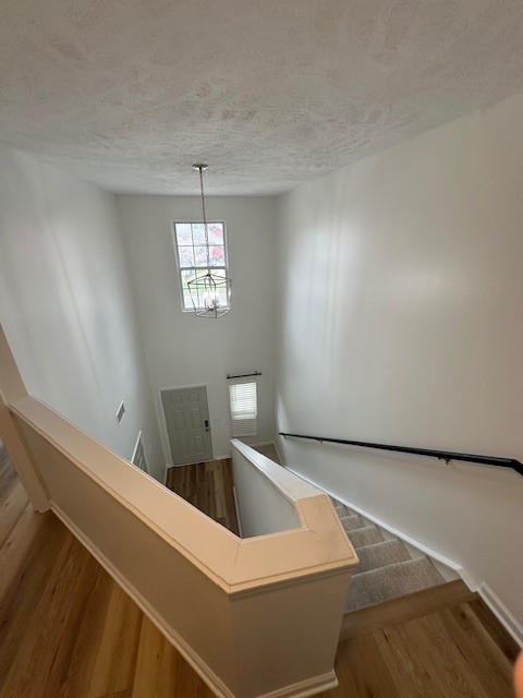 8428 Charbay Cir Property Photo 25
