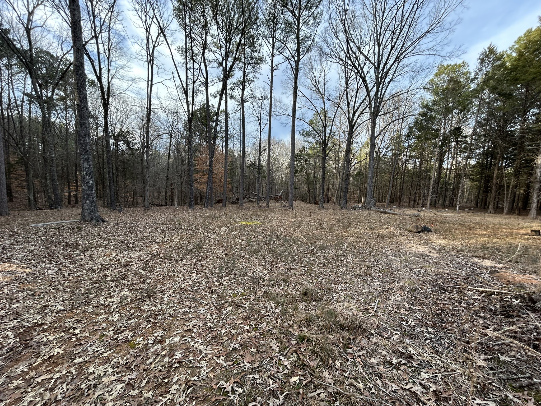 75 Hammel Ln Property Photo 3