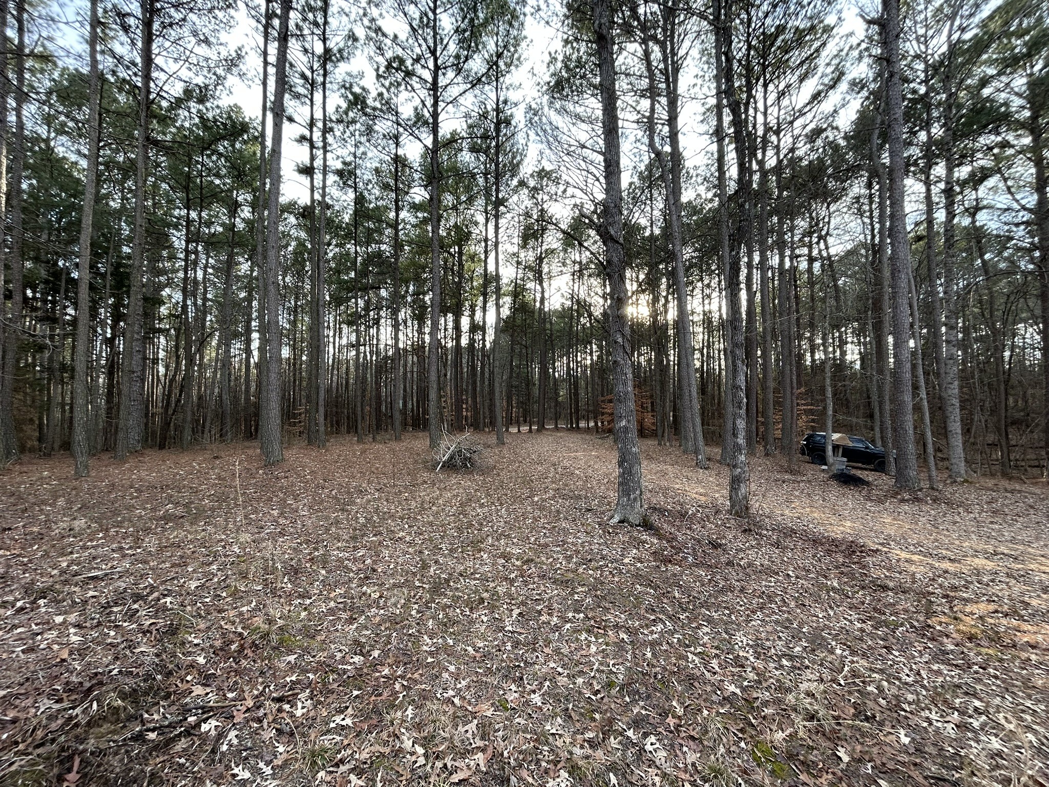 75 Hammel Ln Property Photo 4