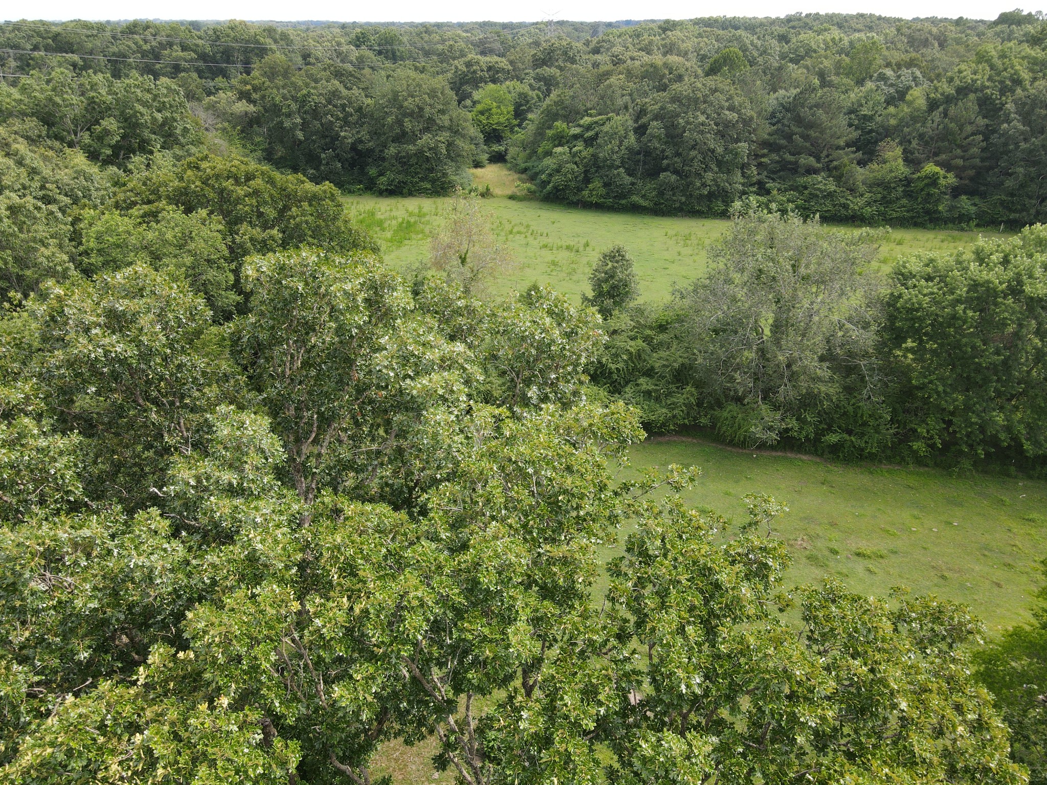 0 Ovoca Lake Road Property Photo 1