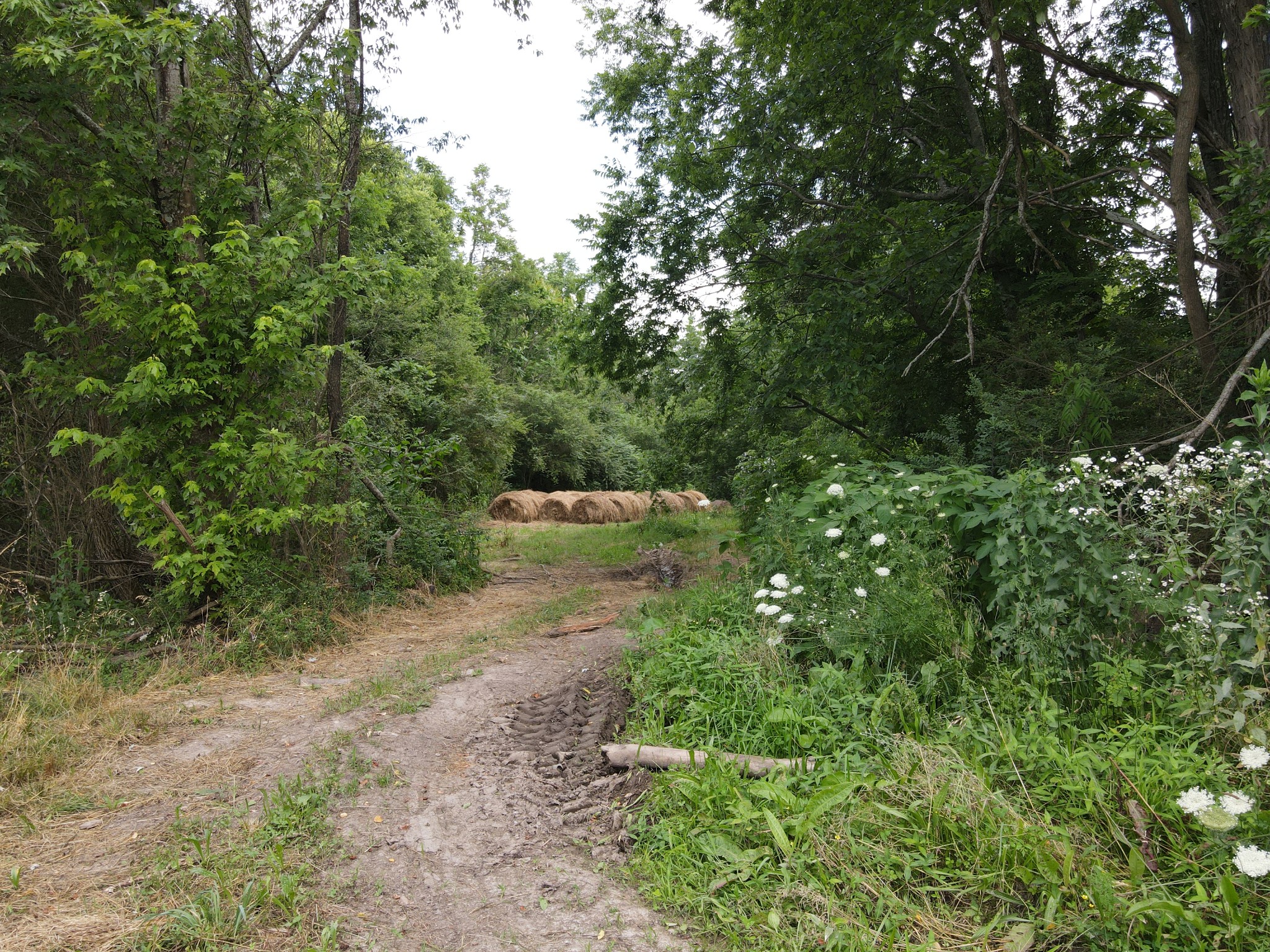 0 Ovoca Lake Road Property Photo 2