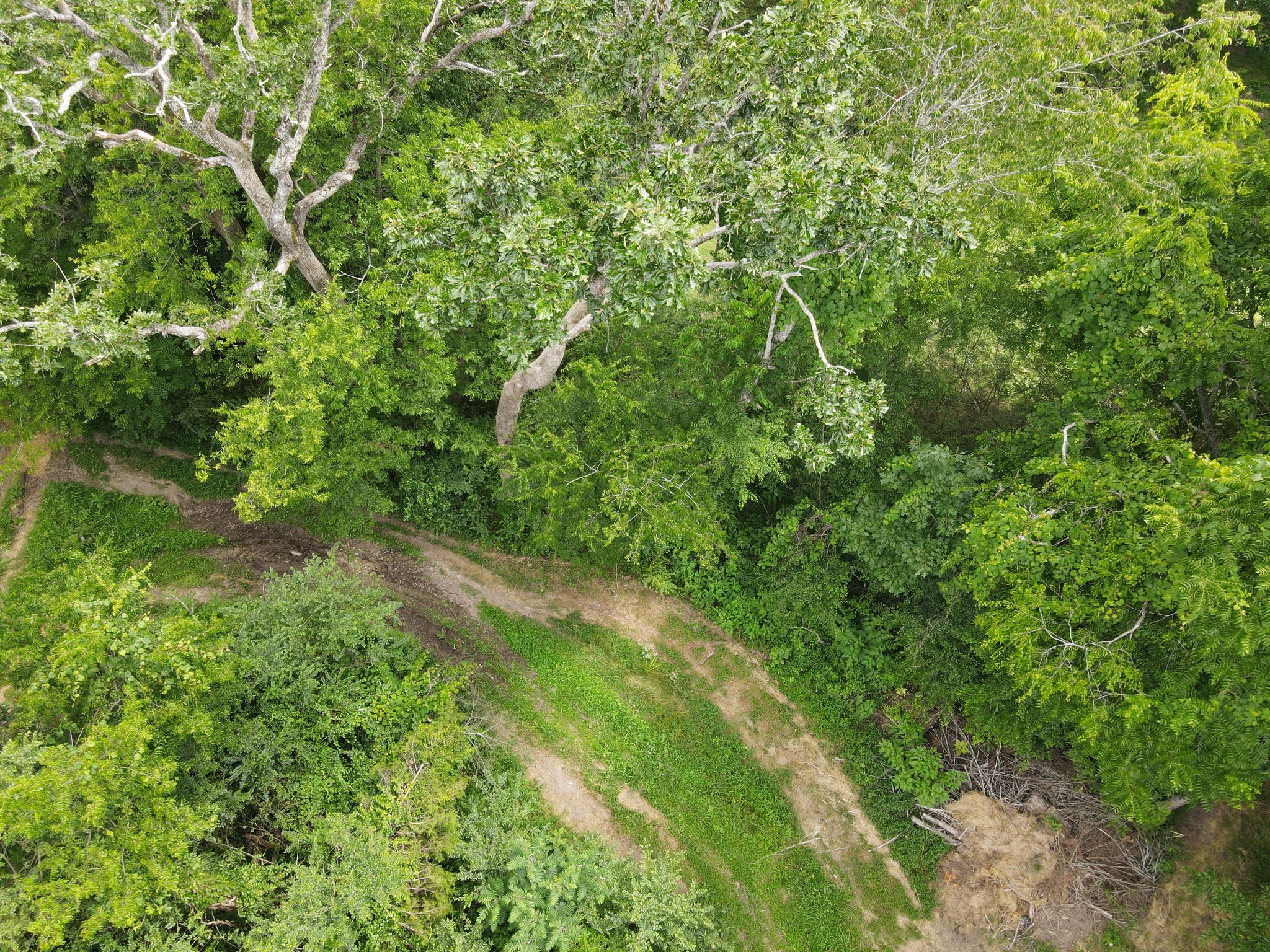 0 Ovoca Lake Road Property Photo 3