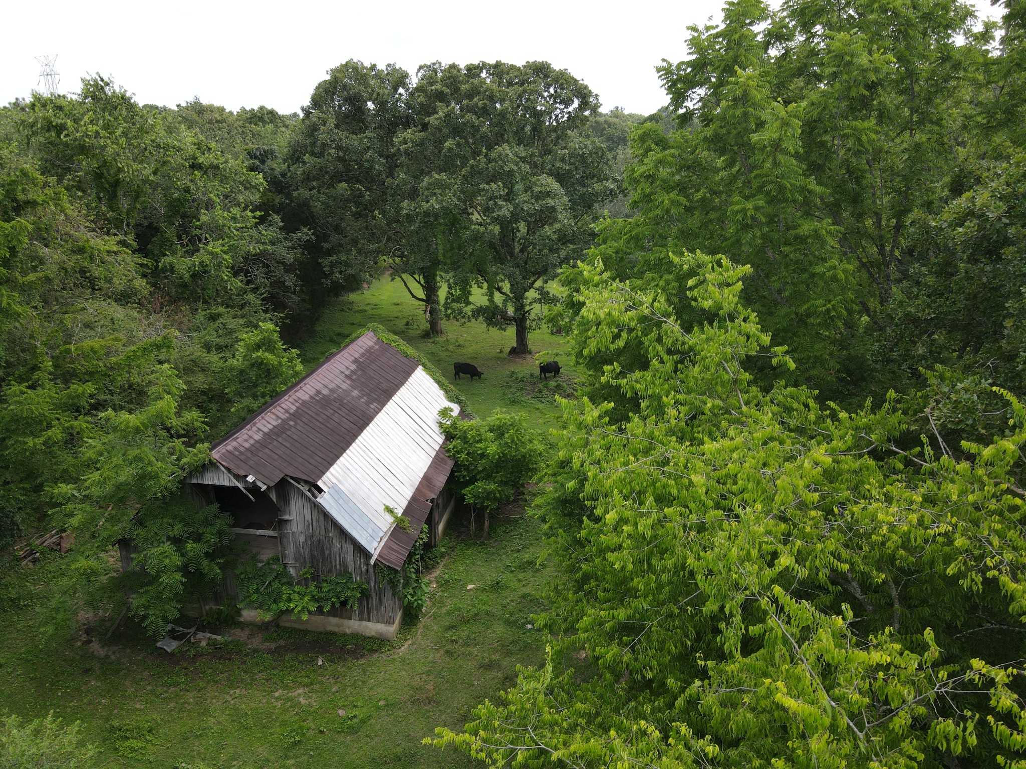 0 Ovoca Lake Road Property Photo 4