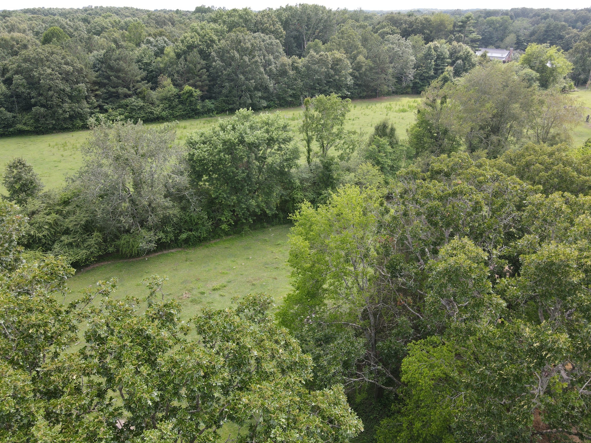 0 Ovoca Lake Road Property Photo 5