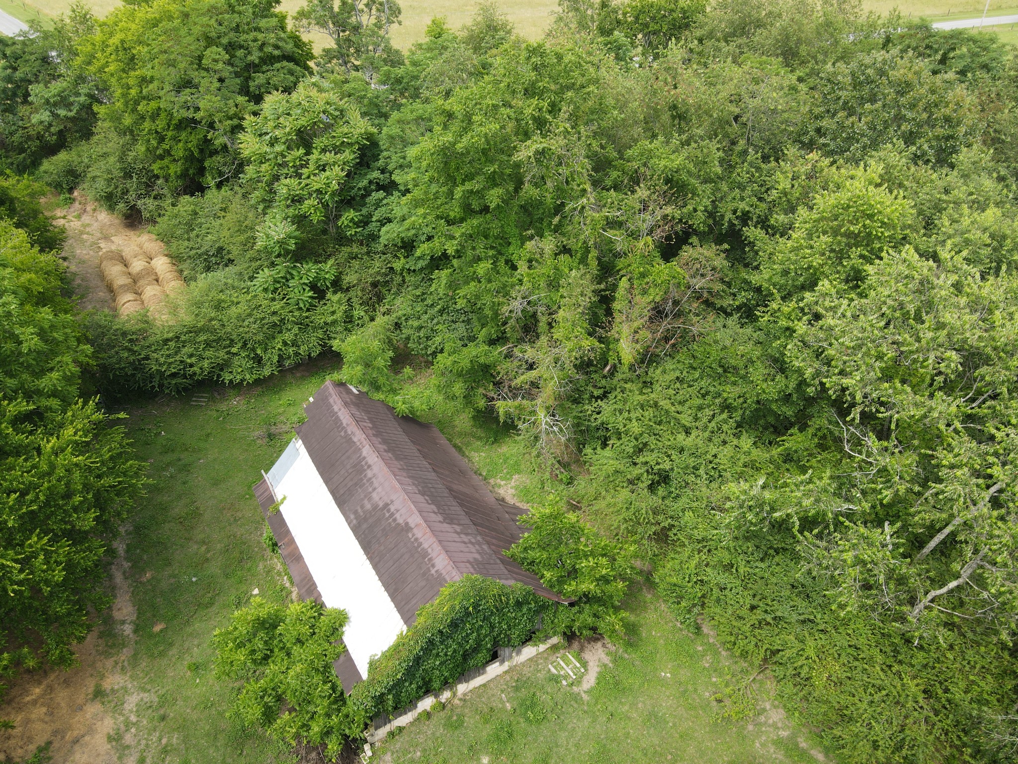 0 Ovoca Lake Road Property Photo 6