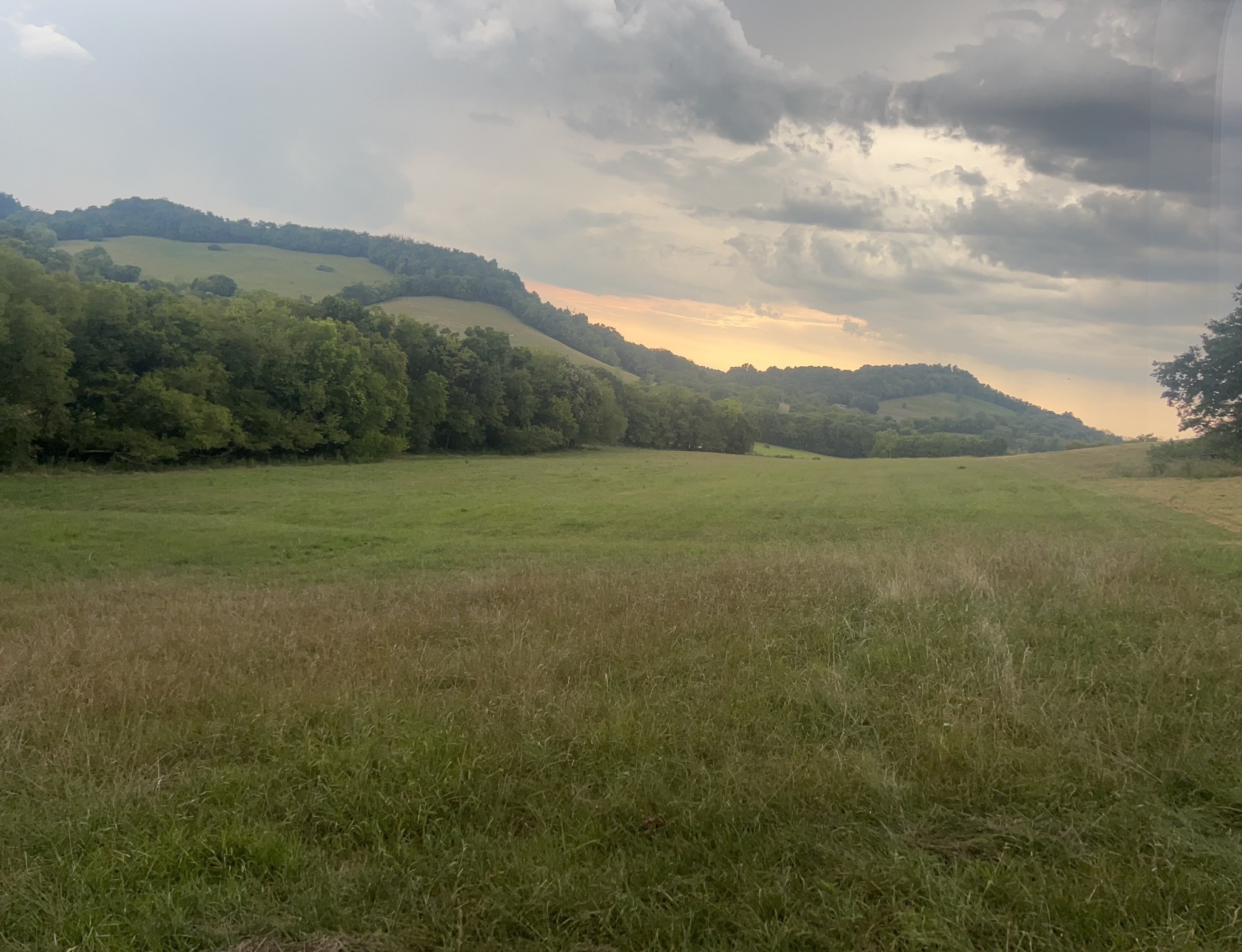 0 Highway 231 Property Photo 1