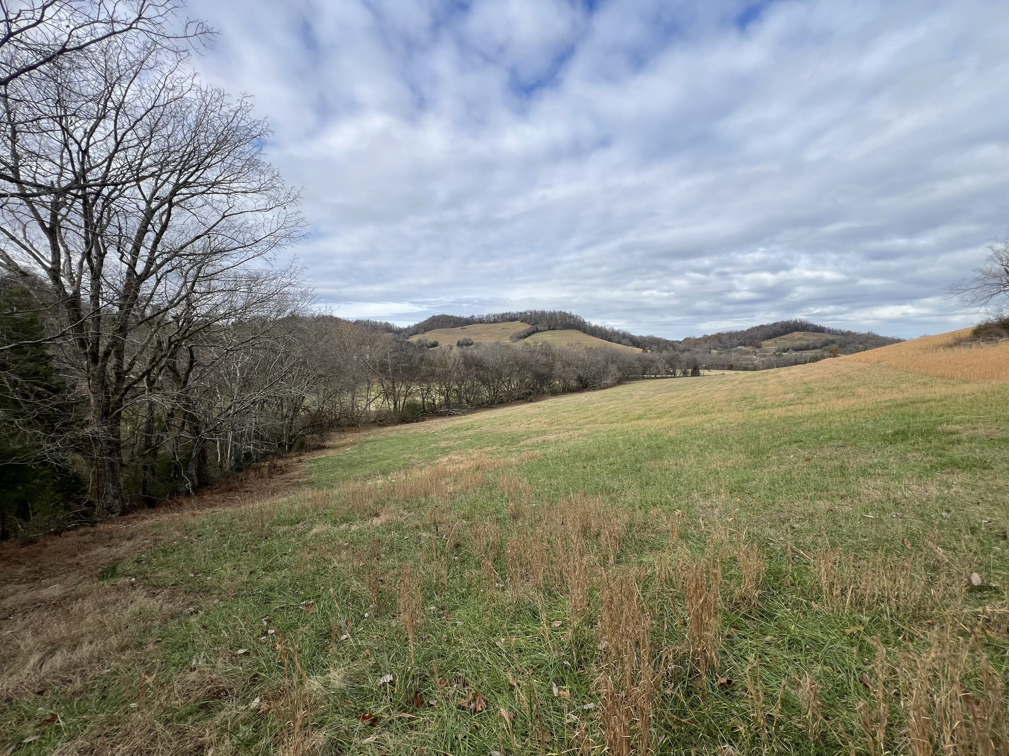 0 Highway 231 Property Photo 2