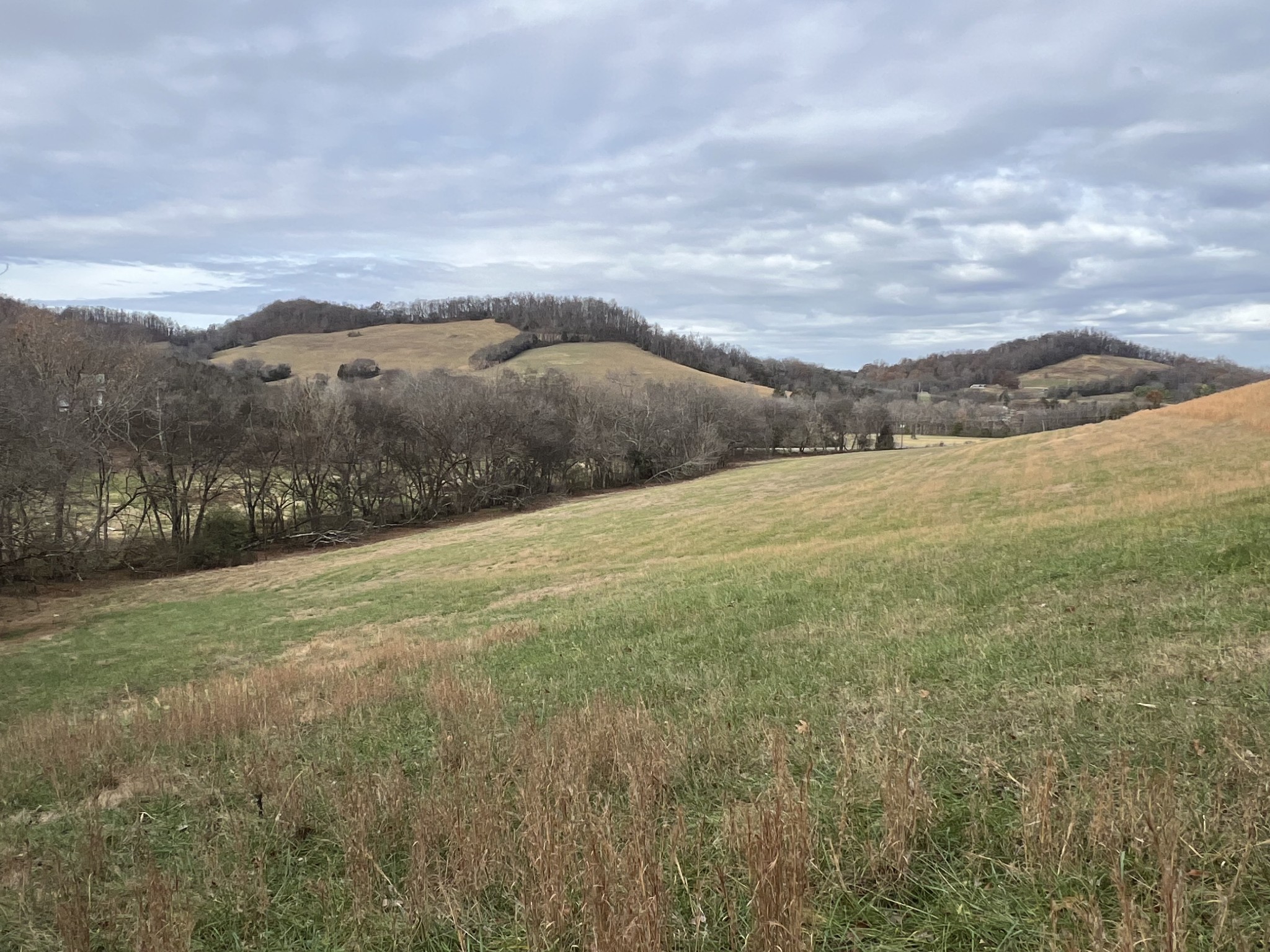 0 Highway 231 Property Photo 3