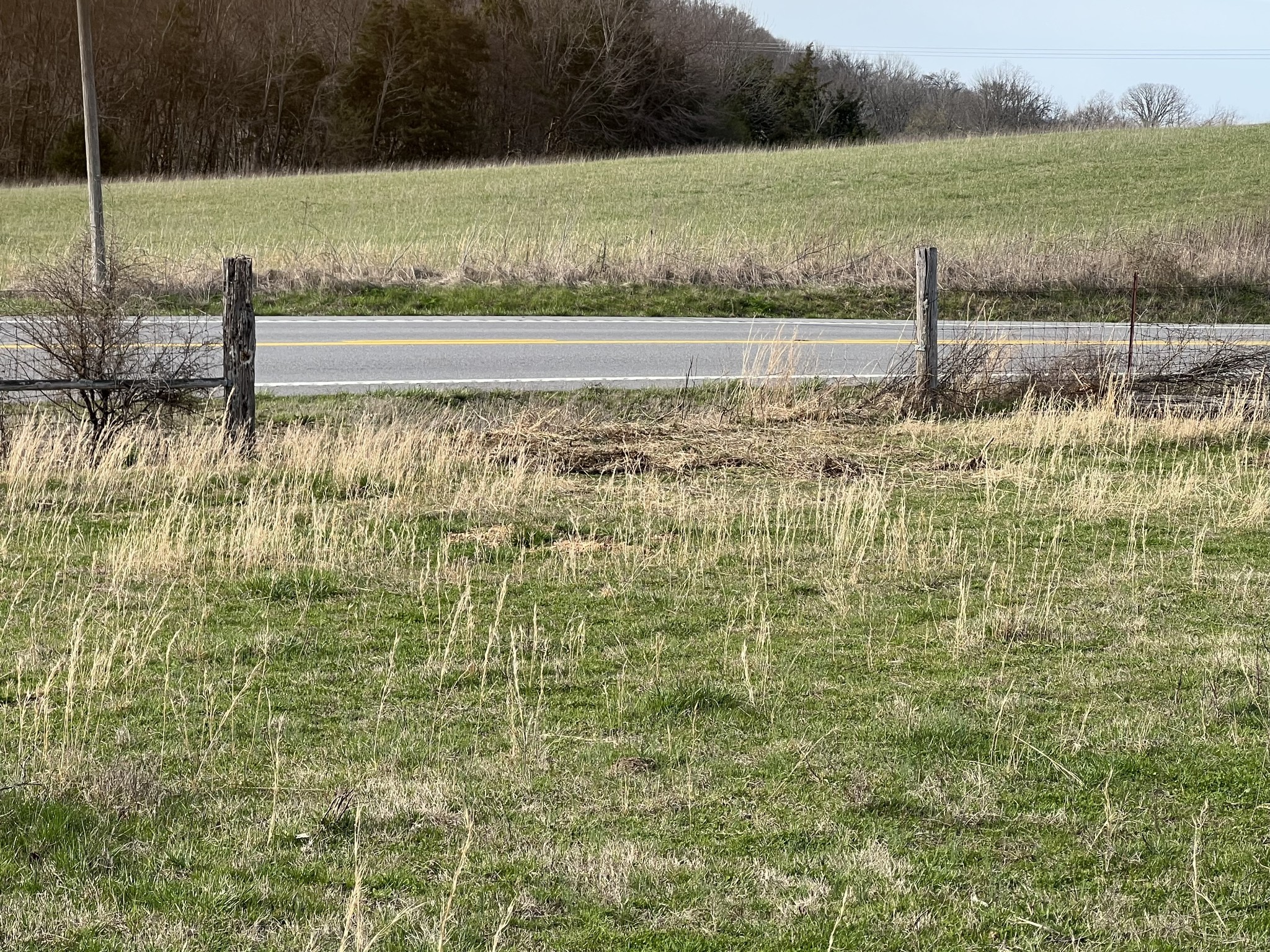 0 Highway 231 Property Photo 5