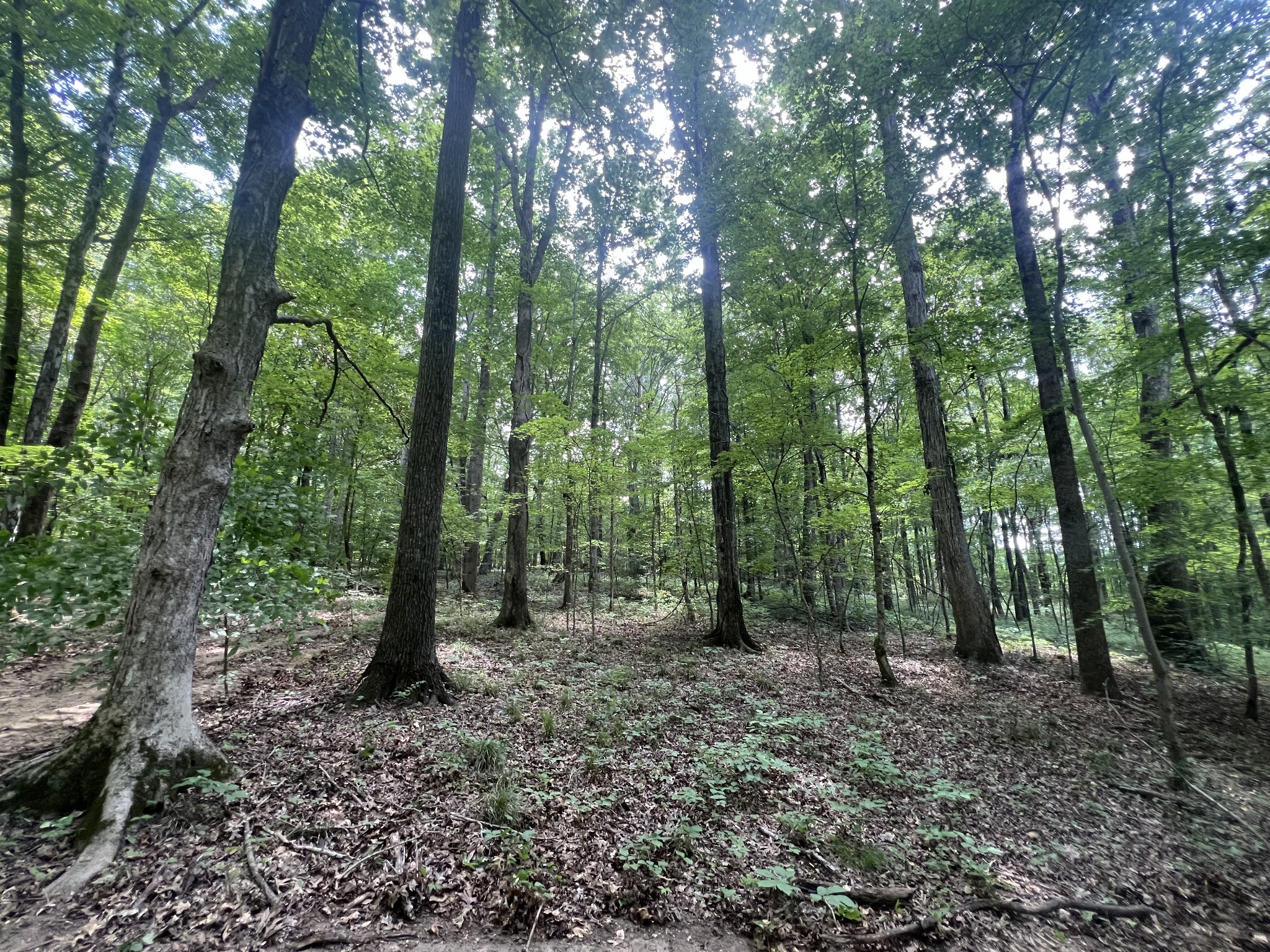0 Highway 48 Property Photo