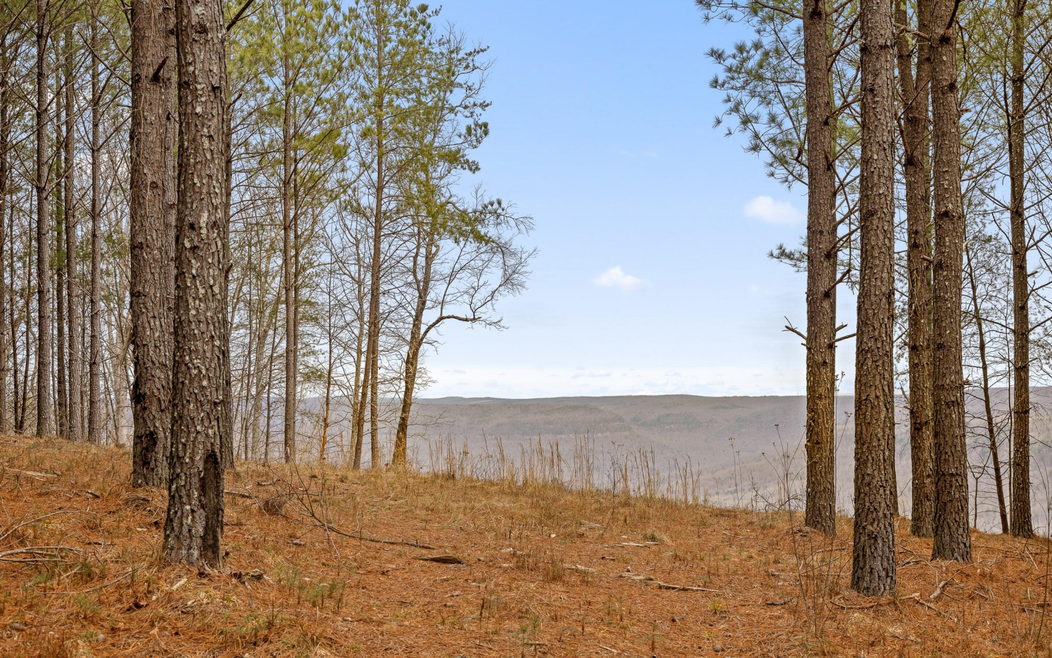 1251 Mullins Point Property Photo 2