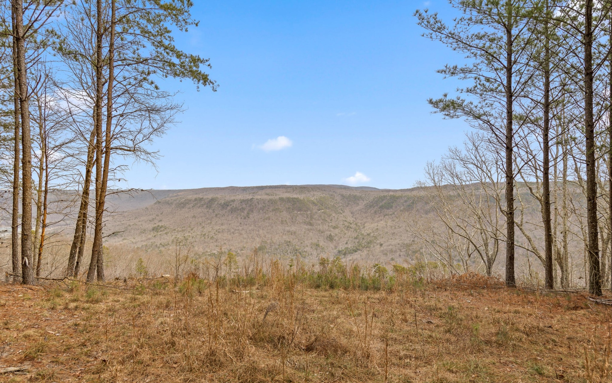 1251 Mullins Point Property Photo 3