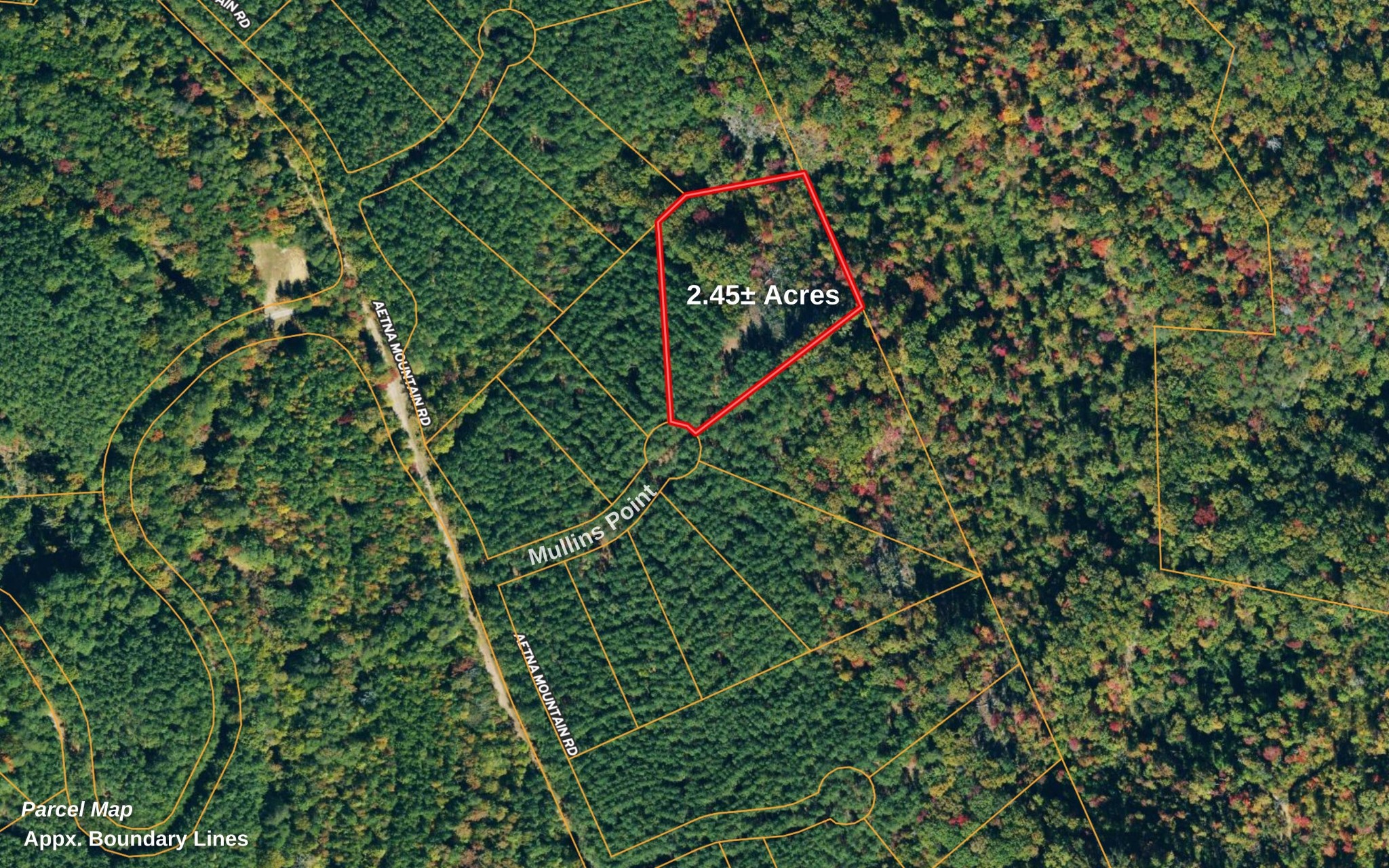 1251 Mullins Point Property Photo 8