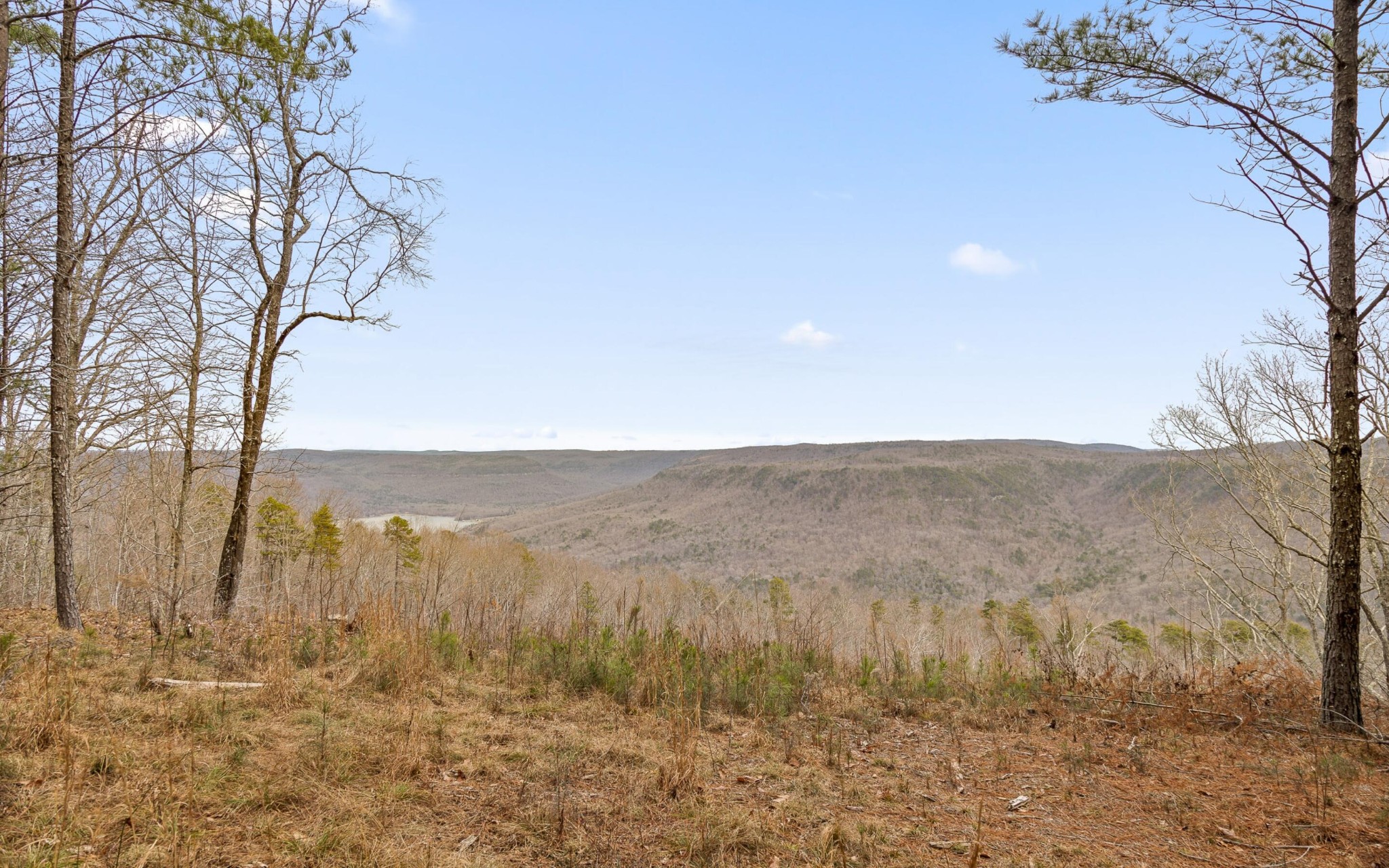 1251 Mullins Point Property Photo 14