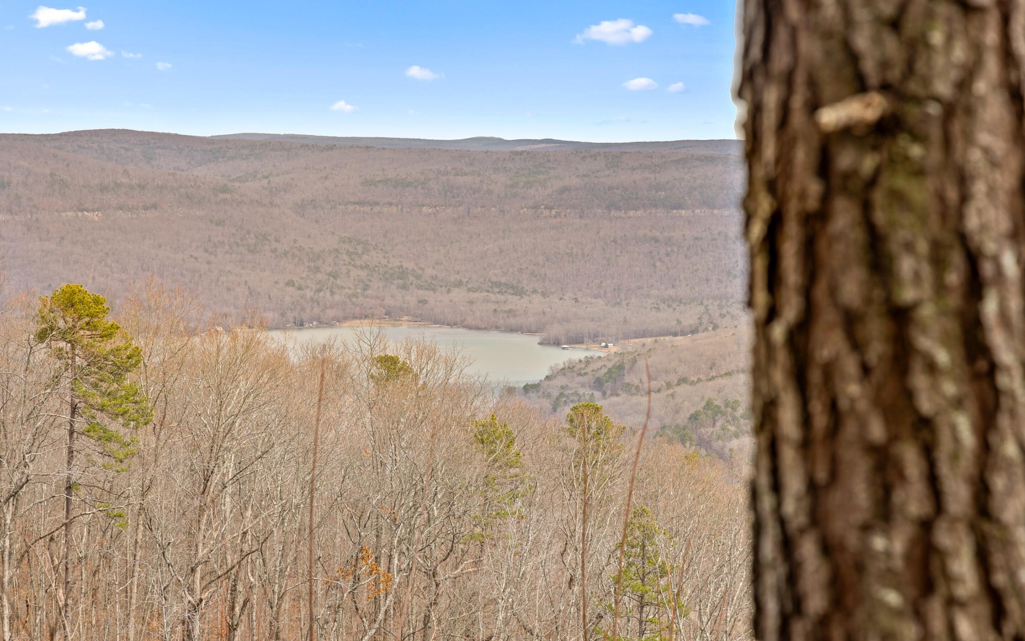 1251 Mullins Point Property Photo 15