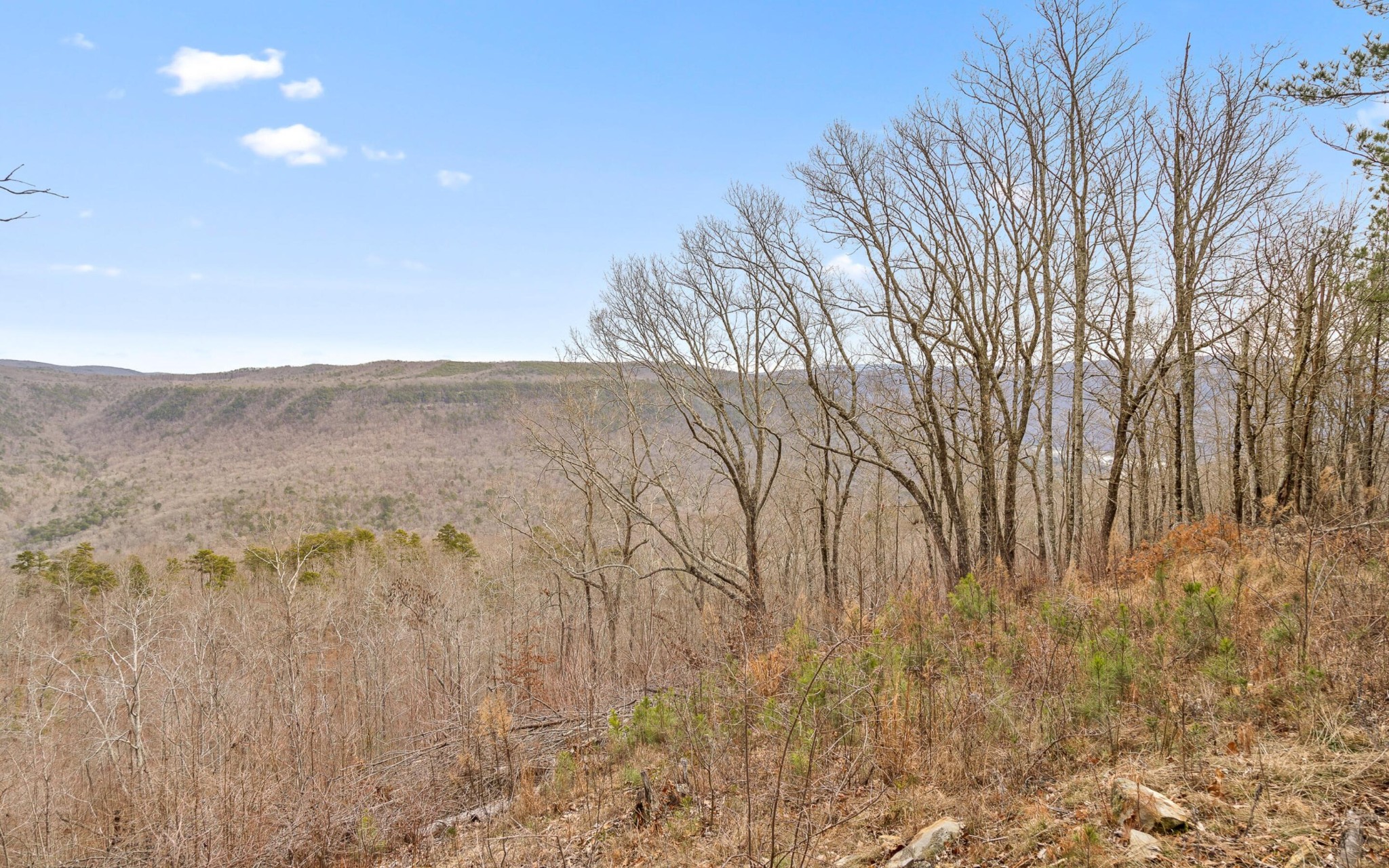 1251 Mullins Point Property Photo 16
