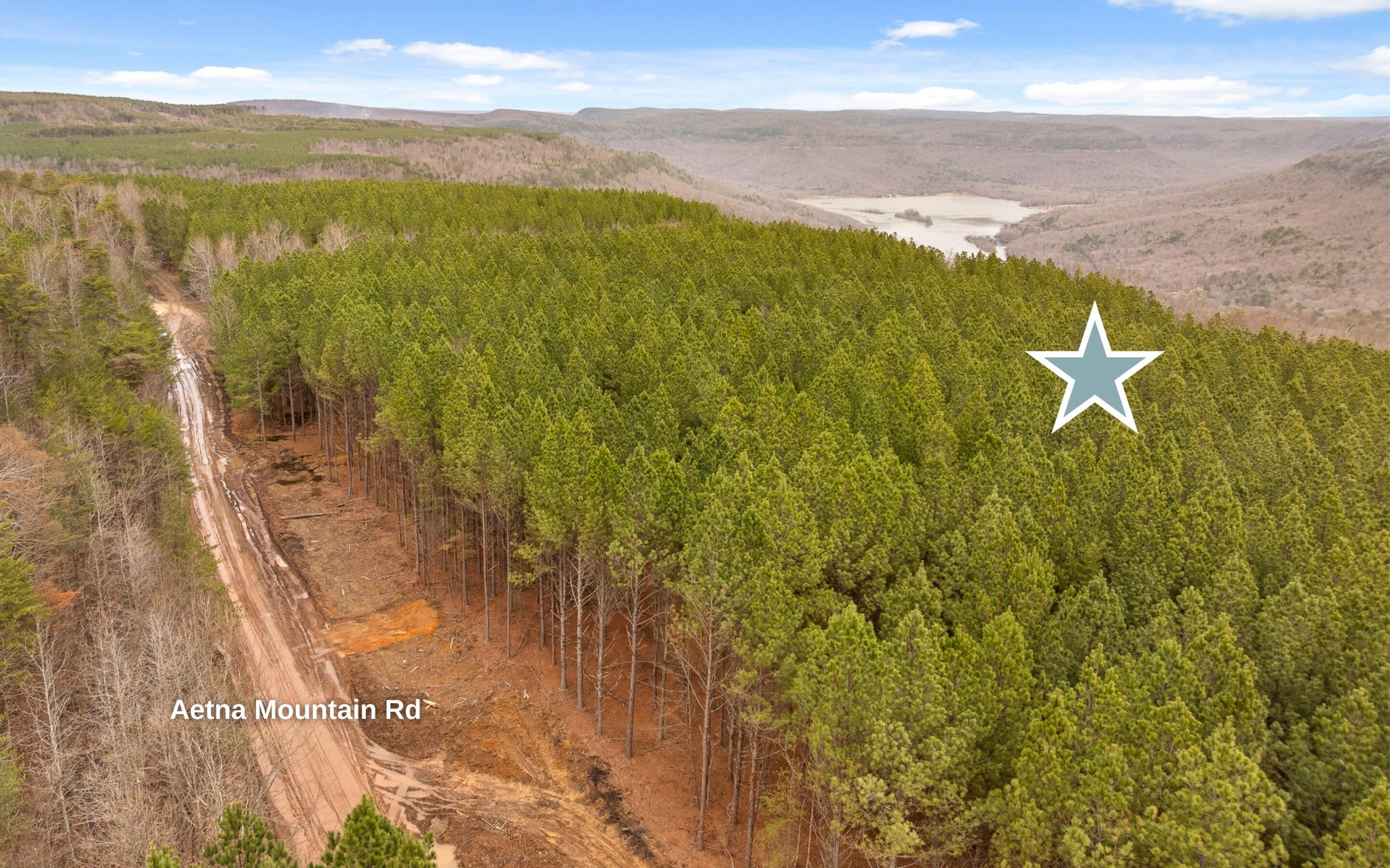 1251 Mullins Point Property Photo 19