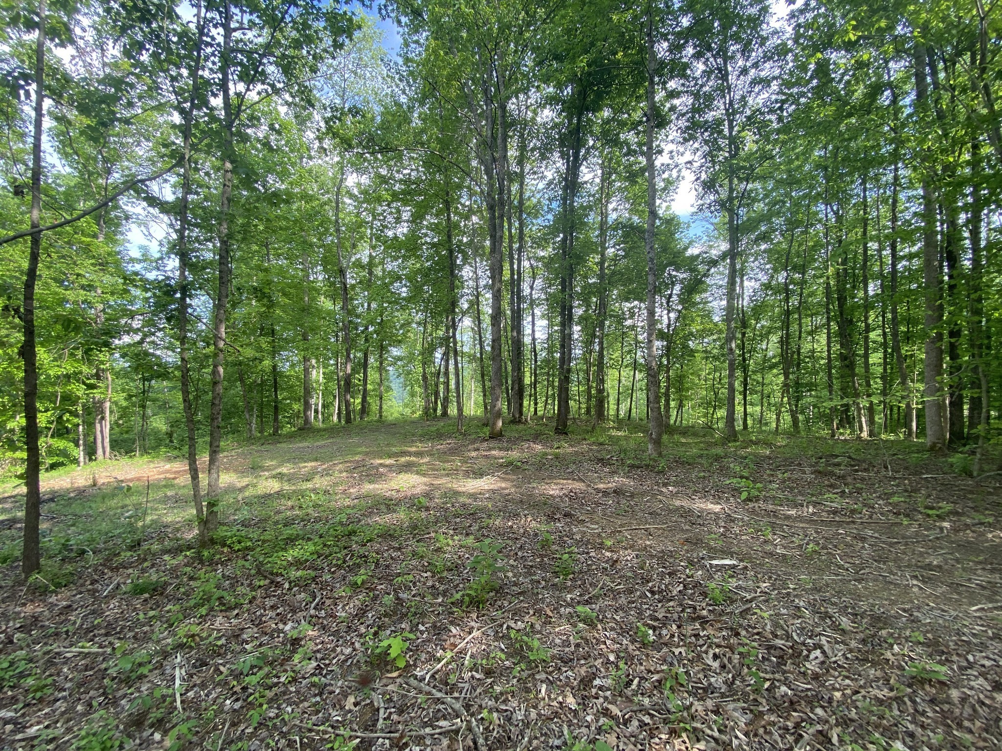 5881 Canoe Way Property Photo 4