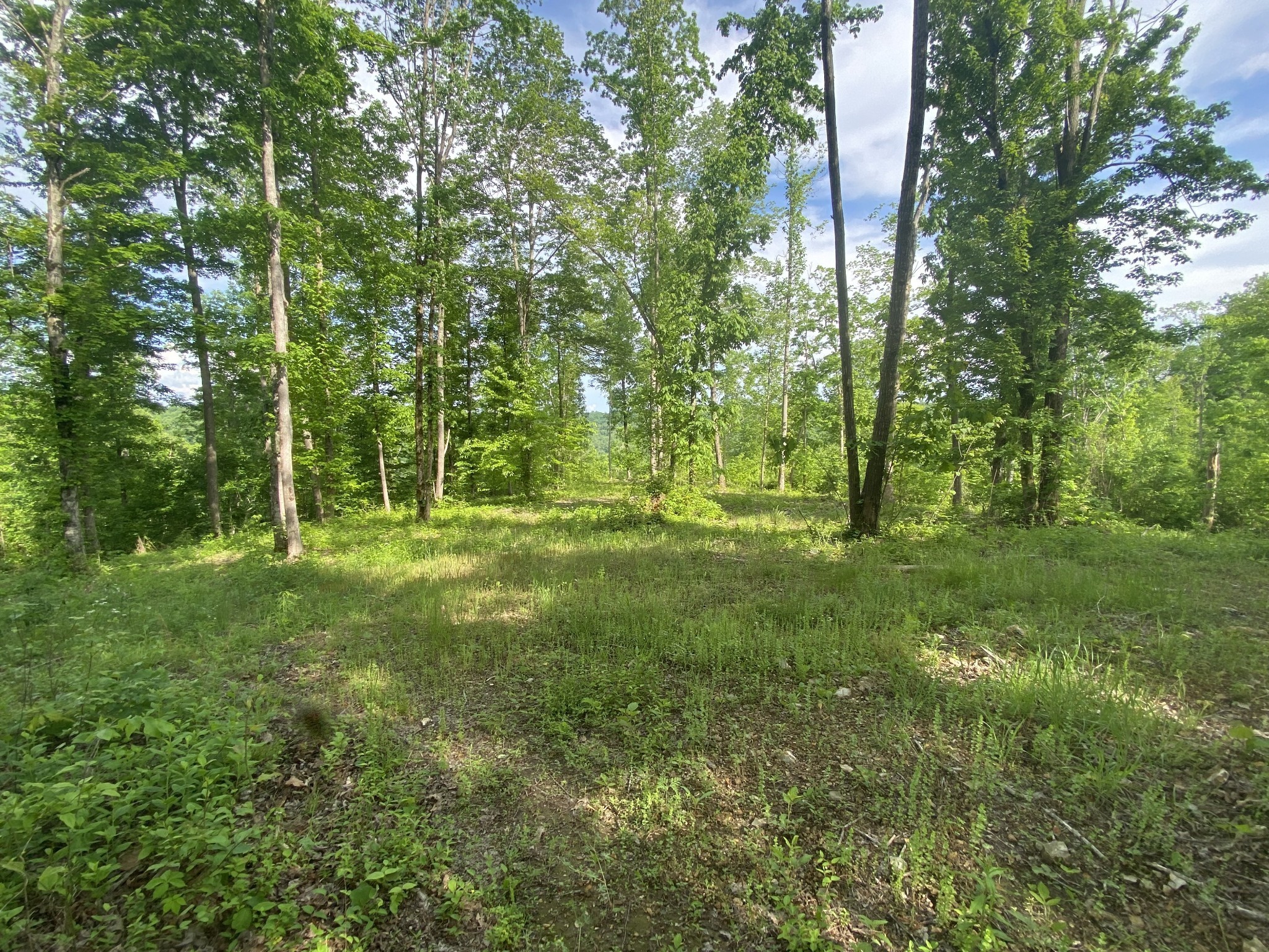 5881 Canoe Way Property Photo 5